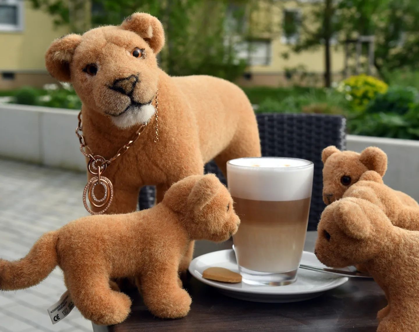 Löwenjunge sind immer hungrig. Da kann man kaum eine Runde nach draußen, ohne beim nächstbesten Bäcker oder Café für einen Kaffee und Knabbereien einzukehren.🇬🇧Lion cubbiess are always hungry. You can hardly go outside without stopping at the nearest bakery or café for a coffee and snaccs. #Muttersorgen  #LionPride  #Rudel  #lioncub  #lion  #cookie  #Loewenjunge  #Loewen  #LatteMacchiato  #Keks  #MaraPride   #JubaOnTour  #PlushiesOfInstagram  #Plushie  #Kuscheltier  #plushies  #plushiecommunity  #instaplushies  #theinstaplushies  #stuffies  #plushielife  #plushieadventures  #Koesen  #KoesenerSpielzeug