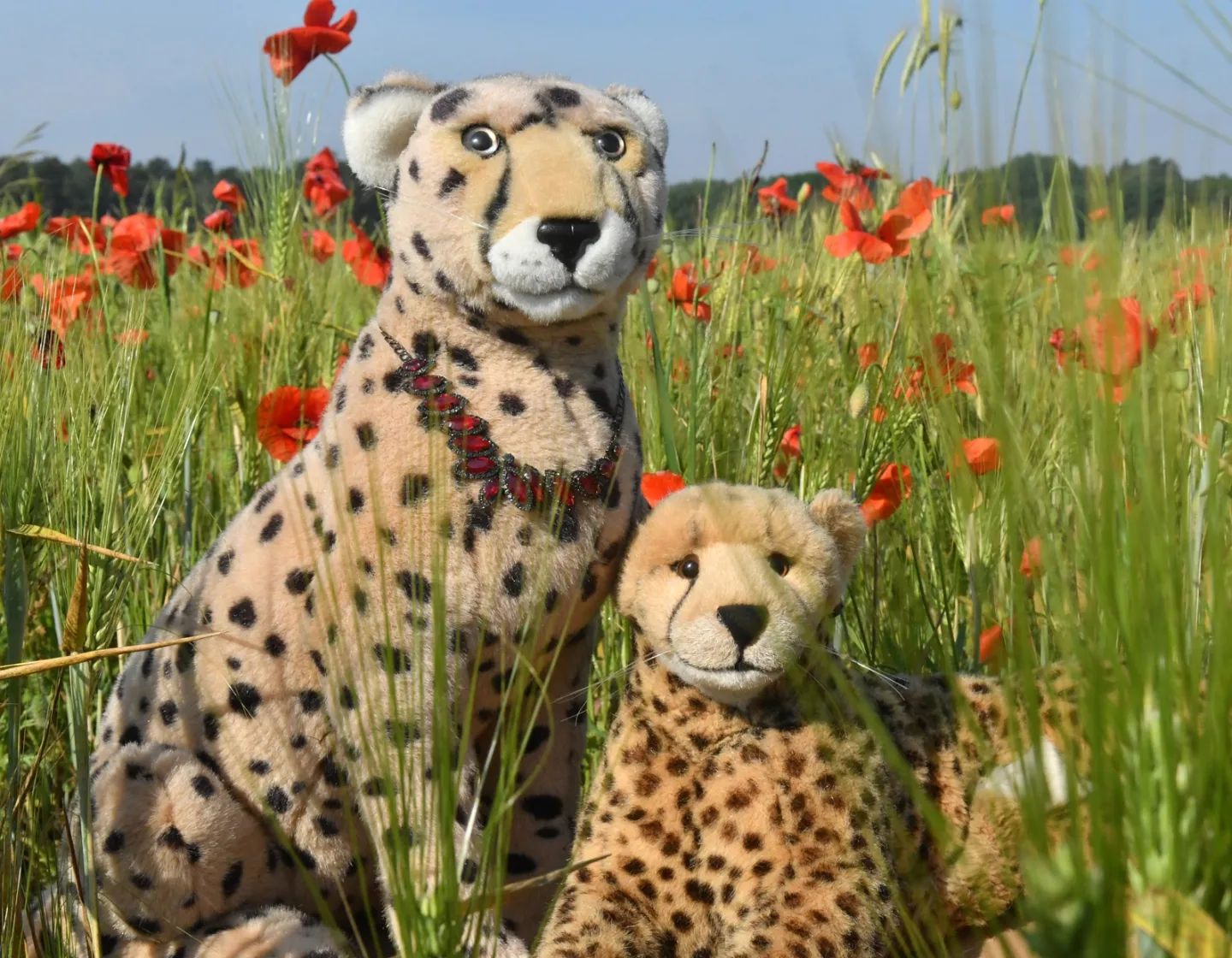 Als wir die Idee einer  #Blumenwoche hatten, stand eines schon früh fest: Es sollte unbedingt ein Shooting in einem der zahlreichen Mohnblumenfelder geben. Und heute war es so weit. Doch ehe es tatsächlich so weit war, mussten wir fünf Mohnblumenfelder abgehen, bis wir noch eine Stelle fanden, an denen die Blumen noch nicht abgemäht und zu riesigen Rollen zusammengepresst wurden. Unfassbar! Gestern standen sie noch; heute waren sie alle einen Kopf kürzer. Und wir waren schon kurz davor, enttäuscht aufzugeben, als wir noch Mohnblumen fanden. 😰🇬🇧When we had the idea of ​​a  #flowerweek, one thing was clear: there had to be a photo shoot in one of the many poppy fields. And today was the day. But before we actually came to that point, we had to walk through five poppy fields until we found a spot where the flowers hadn’t been mown and pressed into huge rolls. Unbelievable! Yesterday they were still standing; today they were cut off. And we were almost about to give up in disappointment when we found poppies. 😰 #Poppies  #Mohnblumen  #Day7  #JubasFlowerWeek  #FlowerWeek  #Flowers  #Field  #Wheat  #WhiteRoses  #JubasBlumenwoche  #Blumenwoche  #Rosen  #Sommernachtstraum  #JubaOnTour  #Koesen  #KoesenerSpielzeug