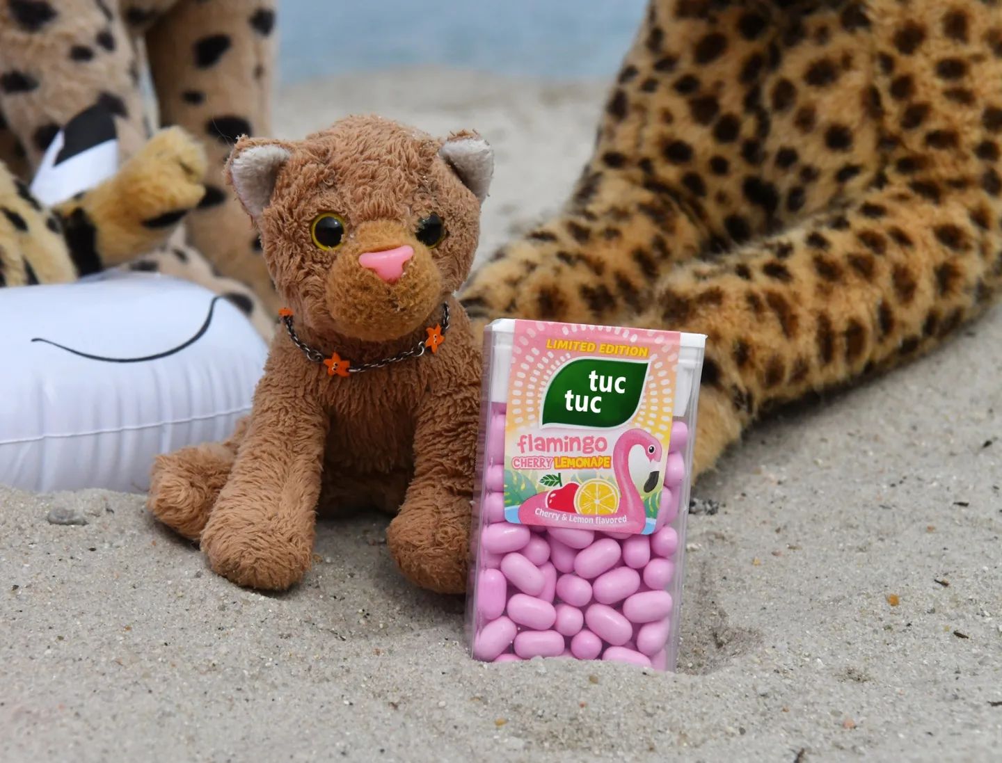 Tuc Tuc #Flamingo  #Briesensee  #Sea  #Beach  #Strand  #Sun  #Ausflug  #JubaOnTour  #PlushiesOfInstagram  #PlushiesOfGermany  #Plushie  #Kuscheltier  #plushies  #plushiecommunity  #instaplushies  #stuffies  #stuffiesofinstagram  #plushielife  #plushieadventures