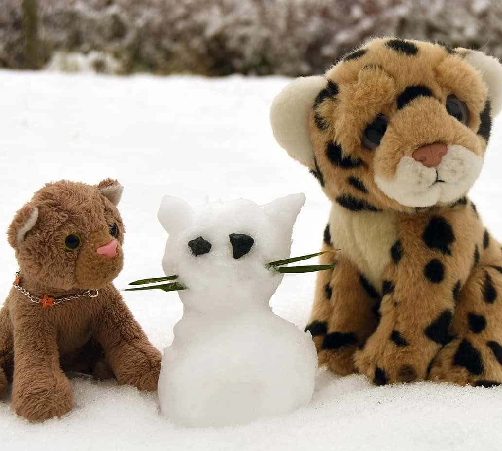 Als Niara und ich im Warmen lagen, tollten und rollten Mneka und Swede draußen herum. Sie machten Schneeengel – also Swede versuchte es wohl, aber sie war nicht schwer genug, um einen Abdruck im Schnee zu hinterlassen -, sie warfen Bälle aus Schnee und sie bauten eine Schneekatze. Sie tobten so lange herum, bis jedes Fellhaar voller Schnee und festgefroren war und kein einziger Lauf noch bewegt werden konnte. Also mussten wir die zwei ins Haus tragen.Swede wollte jedoch nicht nach Drinnen, wenn es hieße, die Schneekatze draußen zurückzulassen. Aber wie stellte sie sich das vor? Die Schneekatze würde die Wärme im Haus nicht mögen, sagte ich ihr. Das war Swede egal.Also bat ich die Kinder, sich auf den Boden zu legen und sich aufzuwärmen, während ich – was tut man nicht alles für die Kleinen? – die Schneekatze nach drinnen holte, auf ein Tellerchen bettete und betete, sie möge lang durchhalten.Geholfen hat das Bitten natürlich nicht. #Frozen  #ErsterSchnee  #FirstSnow  #Schnee  #Vaterfreuden  #Schneekatze  #ShowCat  #Geschmolzen  #JubaOnTour  #AcinonyxJubatus  #Cheetah  #Juba  #Koesen  #KoesenerSpielzeug  #PlushiesOfInstagram  #PlushiesOfGermany  #Stofftier  #Plueschtier  #Plushie  #Kuscheltier  #plushies  #plushiecommunity  #instaplushies  #stuffies  #stuffiesofinstagram  #plushielife