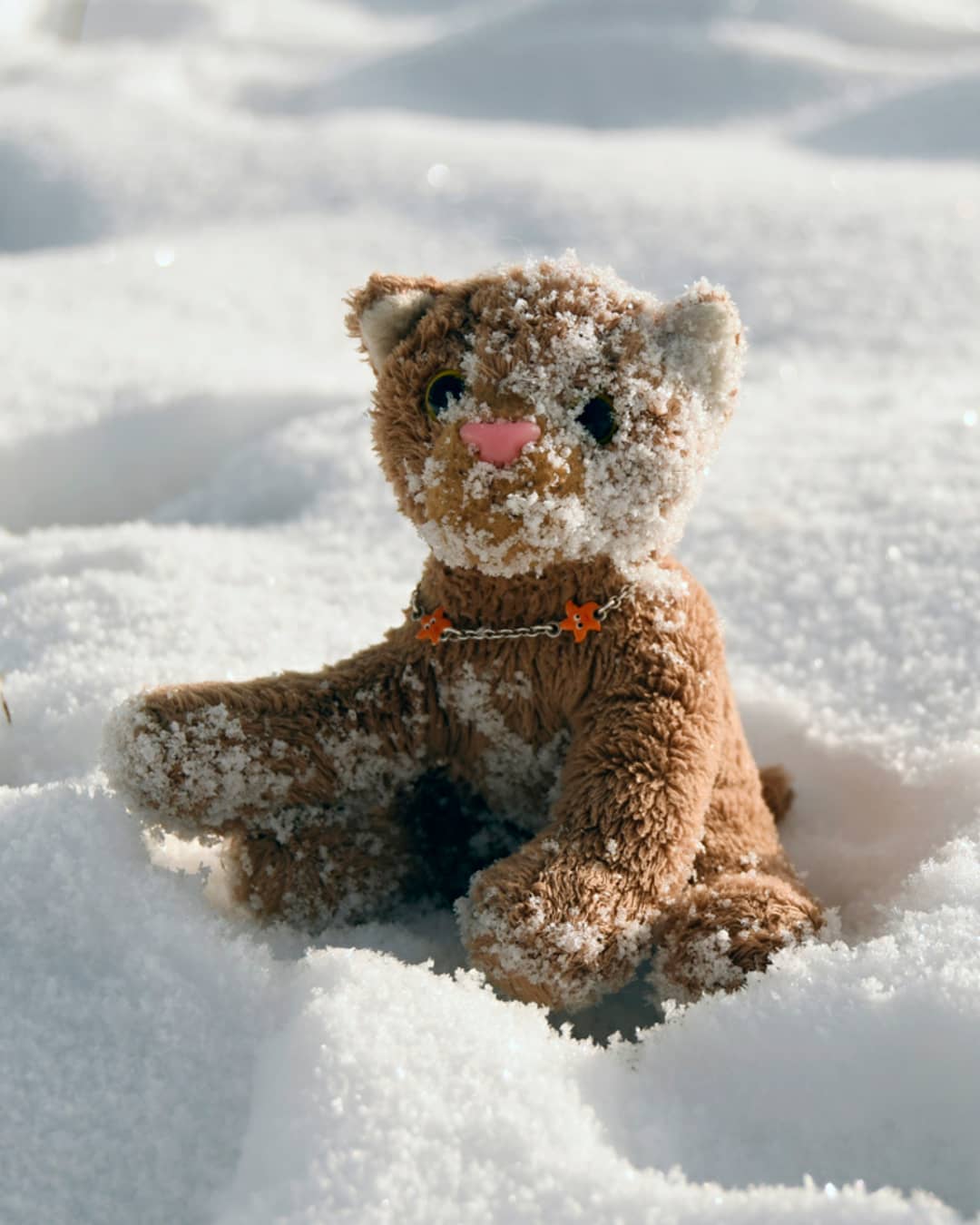 🇩🇪 Hallo, hier ist eure Swede. Ihr werdet euch jetzt sicher wundern, warum ich über und über mit Schnee bedeckt bin. Das ist schnell erklärt: Paps und ich waren heute auf einem langen Spaziergang durch den Schnee. Aber das erzähle ich euch später noch. Erst einmal müsst ihr meinen supergeilen Sprung in den Schnee bewundern.Wheeeee.🇬🇧 Hello, this is your Swede. You&#039;ll probably be wondering why I am covered over and over with snow. It&#039;s easy to explain: Dad and I were on a long walk through the snow today. But I&#039;ll tell you later. First of all you have to admire my super cool jump in the snow.Wheeeee. #Spaziergang  #Salto  #Moonsault  #somersault  #Schnee  #Snow  #JubaOnTour  #AcinonyxJubatus  #Cheetah  #Juba  #Koesen  #KoesenerSpielzeug  #PlushiesOfInstagram  #PlushiesOfGermany  #Stofftier  #Plueschtier  #Plushie  #Kuscheltier  #plushies  #plushiecommunity  #instaplushies  #stuffies  #stuffiesofinstagram  #plushielife