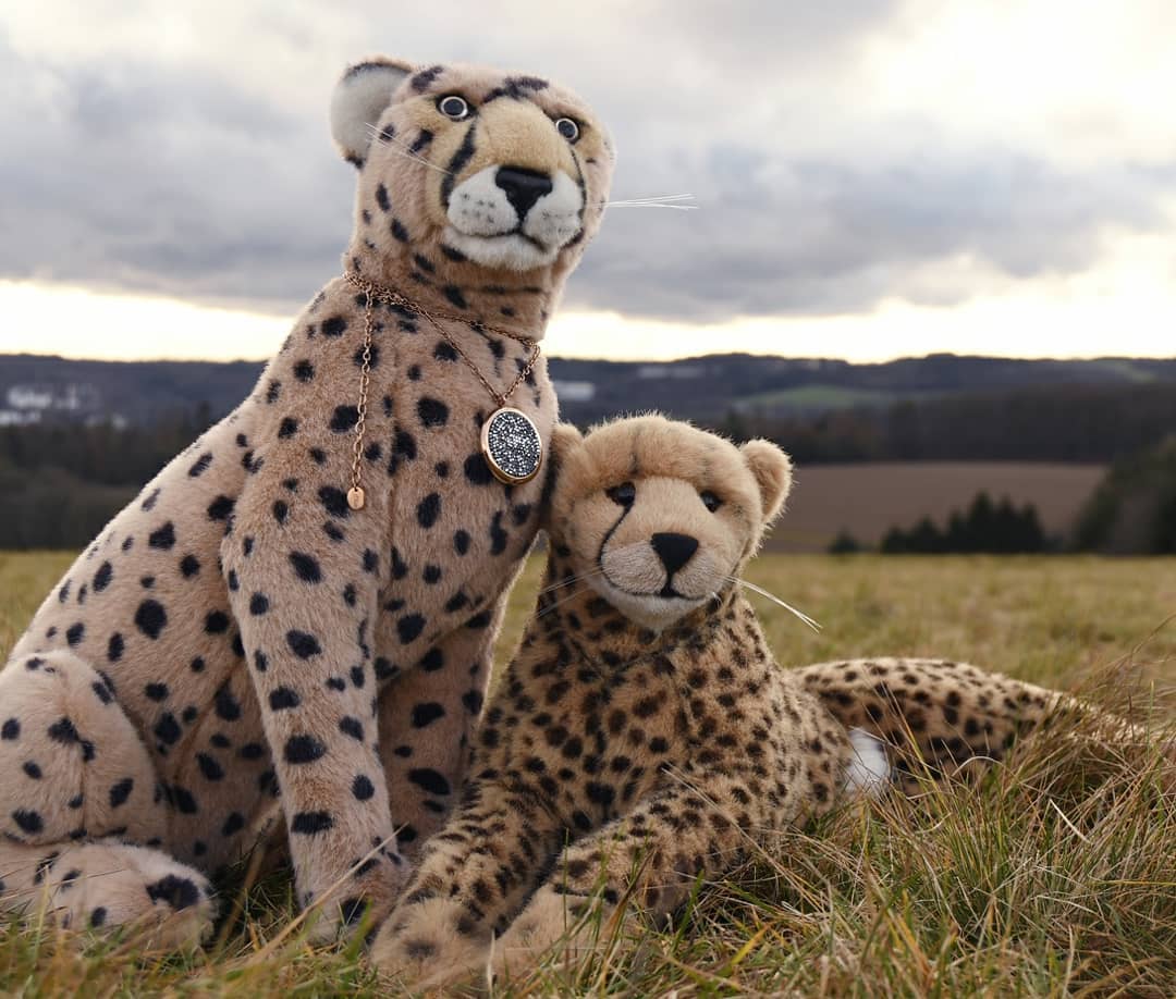 Als ich da im Baum hockte und in die Ferne sah, da traute ich meinen Augen nicht. Konnte es sein? Plötzlich stand da Niara am Rande des Feldes. Aber sagte sie nicht, ihr ginge es nicht gut?🐆 Niara! Ich dachte- Sagtest du nicht-😽 Sag, freust du dich denn nicht mich zu sehen?🐆 Natürlich, freue ich mich. Nur dachte ich, du hättest schlimmes Bauchweh und-😽 Und hab’s noch immer, doch wollt‘ ich dich nicht allein lassen.🐆 Und ich wollt‘ nicht, dass du solch lange Wege trotz Schmerzen auf dich nimmst für mich.😽 Für wen sollt‘ ich sie sonst auf mich nehmen? Und seh ich dich, ist’s fast nicht mehr schlimm. Außerdem habe ich mich herfahren lassen - in diesem Tier mit den runden Hufen ging’s ganz schnell.🐆 Ach, Niara-😽 Ach, Juba-Und so kam’s, dass wir zu Zweien dort oben auf dem Felde hockten – meine Niara und ich.When I crouched in the tree and watched to grasses in the wind, I couldn&#039;t believe my eyes. Could it be? Suddenly Niara was appearing on the edge of the field. But didn&#039;t she say she wasn&#039;t fine?🐆 Niara! I thought- Didn&#039;t you say-😽 Say, aren&#039;t you happy to see me?🐆 Of course, I&#039;m happy. I just thought you had some bad stomachaches and-😽 And still have it, but I don&#039;t want to leave you alone.🐆 And I don&#039;t want you to take such long journeys for me despite the pain.😽 For whom I should take them for, if not for you? And when I see you, it&#039;s almost not that bad. I also let myself be driven here - it was a very quick trip in this animal with the round hooves.🐆 Oh, Niara-😽 Oh, Juba-And so it happened that the two of us sat up there in the field - my Niara and me. #Love  #LoveAndPain  #OnTheRocks  #Trip  #Ausflug  #TreeClimbing  #ZeitZuZweit  #JubaOnTour  #AcinonyxJubatus  #Cheetah  #Juba  #Koesen  #KoesenerSpielzeug  #PlushiesOfInstagram  #PlushiesOfGermany  #Stofftier  #Plueschtier  #Plushie  #Kuscheltier  #plushies  #plushiecommunity  #instaplushies  #stuffies  #stuffiesofinstagram  #plushielife