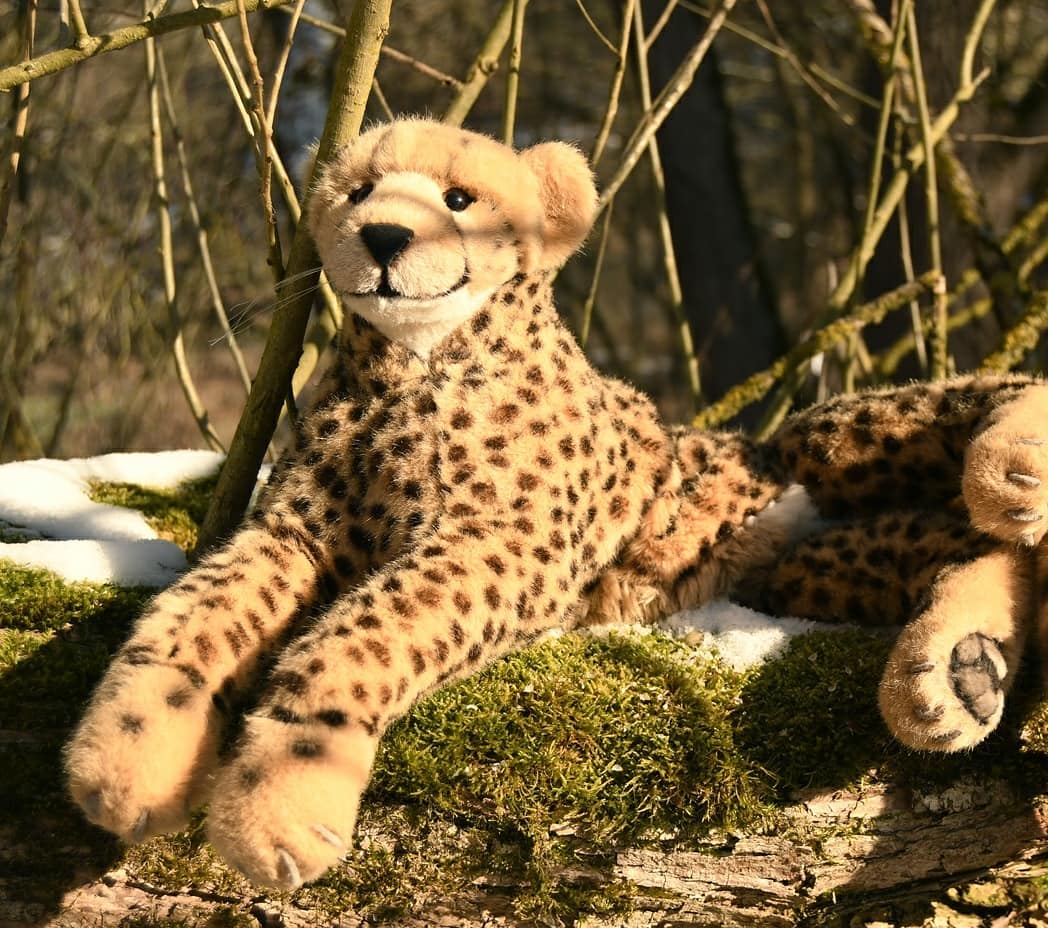 🇩🇪 Solange die Kinder »Eiskönigin von Frostania« spielten, nutzte ich die Zeit für ein kleines Sonnenbad bei -11°C. Wer dachte, nach -10°C konnte es unmöglich noch kälter werden, der sah, dass es doch möglich ist. Sonne im Winter ist wie die ungeneigte Katze – schön anzusehen und trotzdem eiskalt.🇬🇧 As long as the children were playing Ice »Queen of Frostania«, I used the time for a little sunbathing at -11°C. Anyone who thought that it couldn&#039;t get any colder after -10°C saw that it was possible though. The sun in winter is like the unwilling cat - beautiful to look at and still ice cold. #ErsterSchnee  #Felsen  #Icicle  #Creek  #WinterIsHere  #Aussicht  #Frost  #Winter  #JubaOnTour  #AcinonyxJubatus  #Cheetah  #Juba  #Koesen  #KoesenerSpielzeug  #PlushiesOfInstagram  #PlushiesOfGermany  #Stofftier  #Plueschtier  #Plushie  #Kuscheltier  #plushies  #plushiecommunity