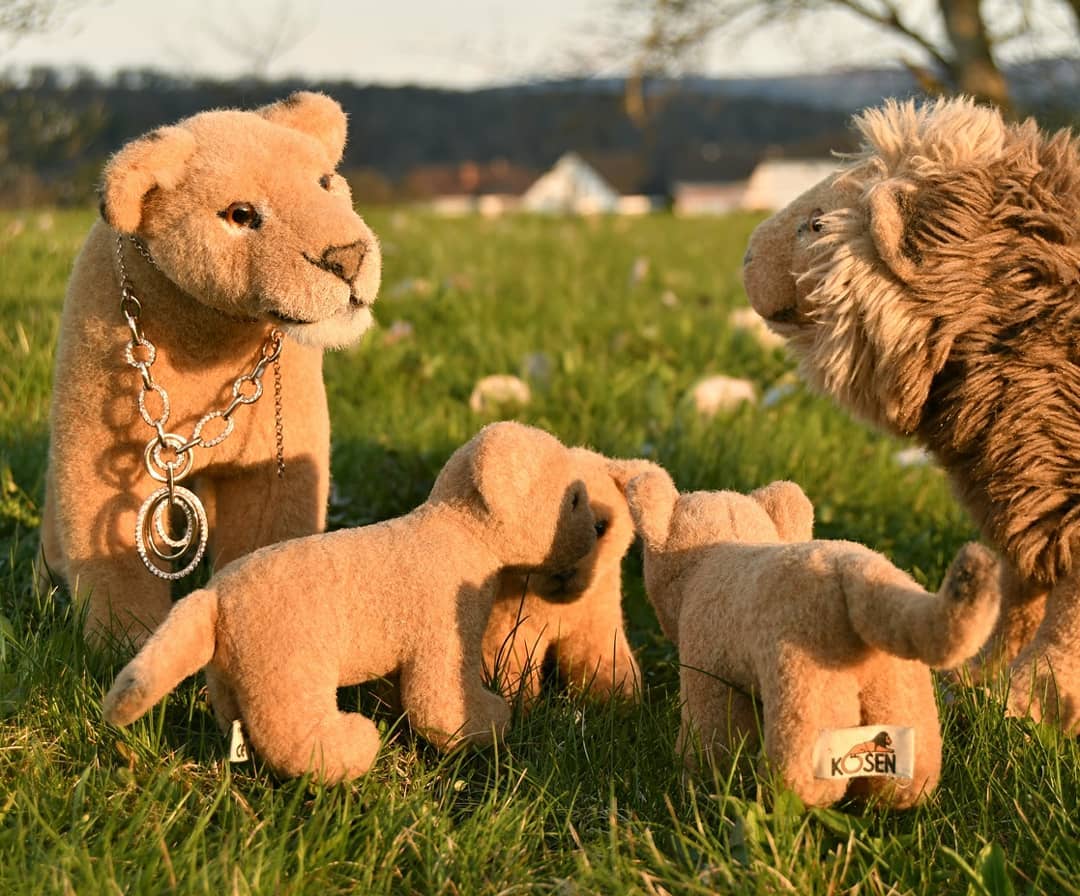 …und plötzlich war da ein Tumult.Die Löwen tollten umher, drunter und drüber und wild ging es her, denn Maras Kleine spielten. Und obwohl Mama sagte, sie sollen sich nicht zu weit ins Gestrüpp vorwagen, taten sie es doch. Es sind eben drei Dickköpfe. Und kaum ignorierten sie Mamas Warnung, hoben die Drei zu einem Geschrei an, das bis ins Dorf vernehmbar war. Nicht ohne Grund, wie sich zeigte, denn Kavu verunglückte in den Brennnesseln.Die Drei wollten einander im Mute übertreffen, indem sie sahen, wer sich am weitesten in die Brennnesseln wagte. Nun, Kavu gewann den Wettstreit und war zugleich der Verlierer. Überall brannte es, er rief und schluchzte, und Zhuri holte Hilfe bei Papa. Talek zögerte nicht, setzte sich in die Nesseln, um seinen dummen Jungen zu befreien, der eigenen Qualen unerachtet.Dafür bekam er einen Kuss von seiner Königin, und womöglich mehr als das.Hoffentlich lernten die Drei etwas daraus.🇬🇧 ...and suddenly there was a commotion.The lions romped around, here and there and wild, because Mara&#039;s little ones were playing. And although Mama said they shouldn&#039;t venture too far into the undergrowth, they did. There are just stubborn. And no sooner did they ignore Mama&#039;s warning the three of them began shouting that could be heard in the village. Not without reason, as we could see, because Kavu had an accident in the nettles.The three of them wanted to outdo each other by seeing who dared venture farthest into the nettles. Well, Kavu won the competition and was also the loser. There was a burning everywhere, he shouted and sobbed, and Zhuri went to Papa for help. Talek did not hesitate, sat down in the nettles to free his stupid boy, ignoring his own torments.For this he got a kiss from his queen, and possibly more than that.Hopefully the three of them learned something from it. #Nettles  #MotherKnowsBest  #Brennnsesseln  #Rettung  #MutterWeissMehr  #JubaOnTour  #AcinonyxJubatus  #Cheetah  #Koesen  #KoesenerSpielzeug  #PlushiesOfInstagram  #PlushiesOfGermany  #Stofftier  #Plueschtier  #Plushie  #Kuscheltier  #plushies  #plushiecommunity  #instaplushies  #stuffies  #stuffiesofinstagram  #plushielife