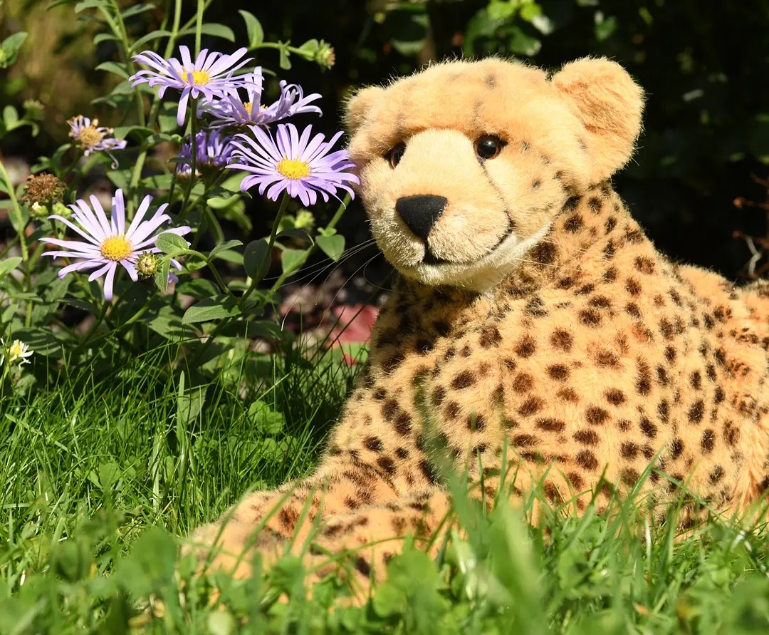 An diesem grauen Mittwoch helfen nur Blumen! So! #Blumen  #Kurpark  #JubaOnTour  #AcinonyxJubatus  #Cheetah  #PlushiesOfInstagram  #PlushiesOfGermany  #Plushie  #Kuscheltier  #plushies  #plushiecommunity  #instaplushies  #stuffies  #stuffiesofinstagram  #plushielife  #Koesen  #KoesenerSpielzeug 