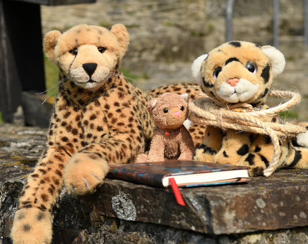 Die dreischwänzige Bestie von Caledonia – Teil 6🕝Mit den Aufzeichnungen Jaspers gelang es den Kindern tatsächlich, in dem Buchhäuschen Hinweise zu finden, die auf eine alte Burg, hier in der Gegend hindeuteten. Ob’s der Ort ist, an dem eine Bestie verborgen, das wussten die Zwei nicht, jedoch stolperten sie über eine Reihe von Erwähnungen der sogenannten „Hüter“. Jene Hüter, so sagen 500 Jahre alte Chroniken, beherbergten einen Geist in den Gemäuern – von einem „untertänigen Gebieter“ war die Rede.🎵Grenzenlose Macht in HändenHerrscher über alles LebenDie Macht, um Kriege zu beenden,Die Macht, den Frieden dreinzugeben.In Fesseln geschlagen der Bestie GeistIn alte Gemäuer auf ewig verbannt,Wird dem Befreier zum DienerDer’s Geheimnis dreier Schwänze fand.🎶Wir berieten uns und machten uns zur Burg auf.Da standen wir vor den riesigen Mauern, die eine Bestie beherbergen sollen. Gerade waren wir ins Staunen versetzt, da staunten wir gleich ein weiteres Mal, als sich Niara unserer Suche anschloss. Sie wollte uns nicht alleinlassen mit einer womöglich gefährlichen Suche; zusammen würden wir das Rätsel lösen und die Bestie finden, ehe sie in falsche Hände geriete.Aber ein Gruppenpfoto musste es noch geben.🇬🇧The three-tailed beast of Caledonia - Part 6🕝With the help of Jasper&#039;s notes, the kids succeeded in finding clues in the bookstore that point to an old castle around here. The little ones did not know whether it was the beast&#039;s hideout, but they stumbled upon numerous mentions of the &quot;guardians&quot;. Those guardians, 500 year old chronicles say, housed a ghost called the &quot;submissive master&quot; in the caverns.We consulted and went to this castle.There we stood in front of the huge walls that are supposed to house a beast. We were just amazed when we were amazed once more as Niara joined our search. She didn&#039;t want to leave us with a potentially dangerous search. Together we would solve the riddle and find the beast before it fell into the wrong hands.But there had to be a group photo first. #Legende  #Hessen  #BurgHohenstein  #DieBestieVonCaledonia  #TheBeastOfCaledonia  #Schatzsuche  #TreasureHunt  #Grabraeuber  #TombRaiders  #JubaOnTour