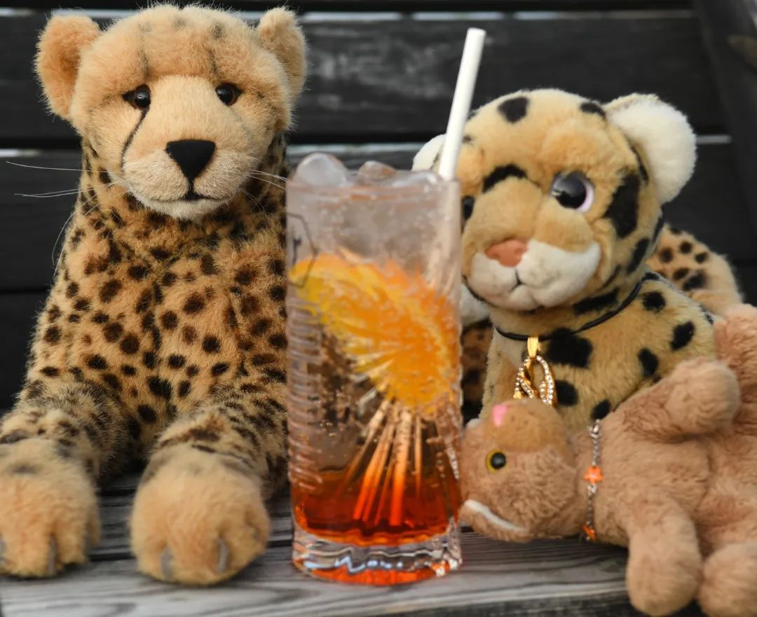 Wer liebt die Cocktails? Swede und Mneka und ich wün... wüüün... wir wü... *rülps* Wir alle ün... habt eine schöne  #WednesdayPlushiesCocktailParty, denn wir tun das auch.🇬🇧Who loves the cocktails? Swede and Mneka and I wi... we wiii... *burp* We all wi... have a nice  #WednesdayPlushiesCocktailParty because we do. #Cocktails  #Caipirinha  #AperolSpritz  #Aperol  #CrushedIce  #Eiswuerfel  #JubaOnTour  #plushie  #plushies  #stuffies  #plushiesofinstagram  #theinstaplushies  #Plueschtier  #plushiecommunity  #stuffiecommunity  #plushiesofgermany  #plushielife