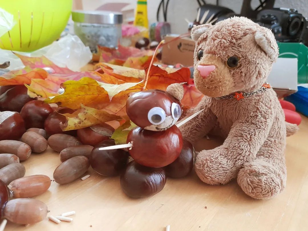 So! Die Herbstdeko war fast perfekt. Aber was wäre eine Herbstdeko ohne Kastanienfiguren? Hmm? Hmm? Genau, sie wäre nur halbherzig. Drum begannen die Kinder, aus all den Kastanien und Eicheln etwas Dekoratives zu kreieren - Swedes Worte, nicht meine.Was sie sich wohl ausdachten?🇬🇧Yeah! The fall decoration was almost perfect. But what would an autumn decoration be without chestnut figures? Hmm? Hmm? Exactly, she would only be half-a... half-hearted. That&#039;s why the children started to create something decorative out of all the chestnuts and acorns.What do you think they were creating? #chestnuts  #chestnutfigures  #acorns  #Kastanien  #Kastanienfiguren  #Eicheln  #Leaves  #Autum  #Laub  #Herbst  #JubaOnTour  #PlushiesOfInstagram  #PlushiesOfGermany  #Stofftier  #Plueschtier  #Plushie  #Kuscheltier  #plushies  #plushiecommunity  #instaplushies  #stuffies  #stuffiesofinstagram  #plushielife