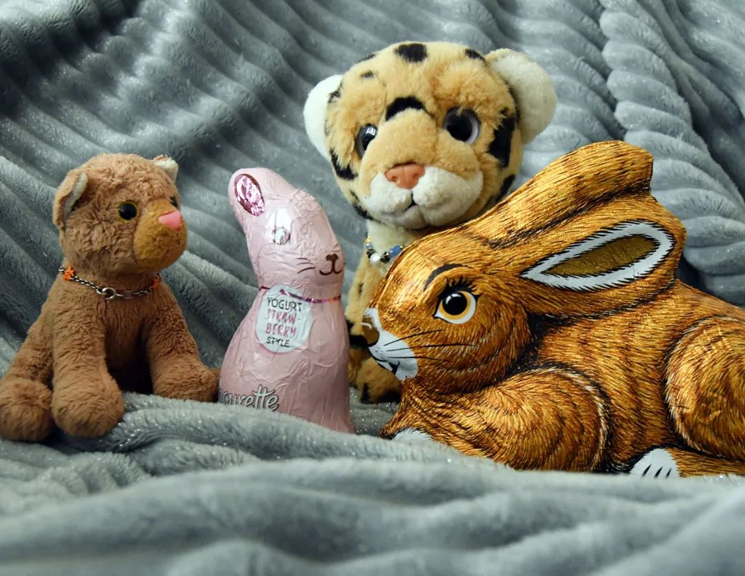 Neulich bei Familie Juba – Teil 2...😺 O, wie wunderbar pink dein Hase ist.😼 Und schau, wie lebensecht deiner ist.🐆 Und seht, welch ungezogene Strolche meine Kinder sind. Warum durchstöbert ihr das Plüschtierzimmer? Warum schnüffelt ihr nach mir her wie Hunde? Was, wenn diese Hasen eine Osterüberraschung sein sollten und diese nun verdorben ist?😺 Aber -aber wir wussten doch nicht-😼 Sorry Dad.😺 Verzeih, Paps, es tut uns wirklich leid.🐆 ...🇬🇧The other day at the Juba family – part 2...😺 O how wonderfully pink your bunny is.😼 And look how lifelike yours is.🐆 And see what naughty rascals my children are. Why are you frisking the plushies‘ room? Why are you sniffing at me like dogs? What if those easter bunnies were supposed to be a surprise which is spoiled now?😺 But- but we didn’t know -😼 Sorry dad😺 Forgive us, paps, we’re really sorry.🐆 ... #EasterBunny  #EasterIsComing  #Osterversteck  #Osterhase  #OsternIsComing  #JubaOnTour  #PlushiesOfInstagram  #PlushiesOfGermany  #Stofftier  #Plueschtier  #Plushie  #Kuscheltier  #koesenerspielzeug  #plushies  #plushiecommunity  #instaplushies  #stuffies  #stuffiesofinstagram  #plushielife