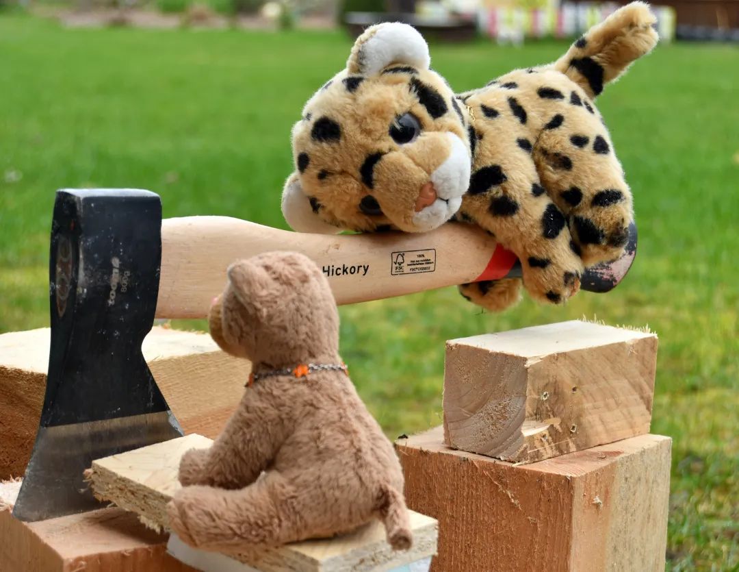 😼 Was machst hier, Dad?🐆 Ich möchte die Hölzer kleinhacken, damit sie in den Ofen passen.😼 Aber das können wir doch für dich machen, Paps.😺 Ja, bitte. Wir wollen helfen, denn wir haben voll das schlechte Gewissen wegen der Schokohasen.😼 Ja, total.🐆 Na schön, dann schnappt euch Axt und Hölzer. Aber Vorsicht! Kleine Plüschtierfinger sind empfindlich.🇬🇧😼 What are you doing here?🐆 I wanna chop the logs to fit in the kiln.😼 But we can do that for you, dad.😺 Swede’s right. We could do it. Please. We have a bad conscience about the chocolate bunnies.😼 Yeah.🐆 All right, then grab your ax and wood. But beware! Little plushie fingers are delicate. #BadConscience  #Woodchopping  #Lumberjack  #Holzhacken  #Holzfaeller  #SchlechtesGewissen  #JubaOnTour  #PlushiesOfInstagram  #PlushiesOfGermany  #Stofftier  #Plueschtier  #Plushie  #Kuscheltier  #koesenerspielzeug  #plushies  #plushiecommunity  #instaplushies  #stuffies  #stuffiesofinstagram  #plushielife