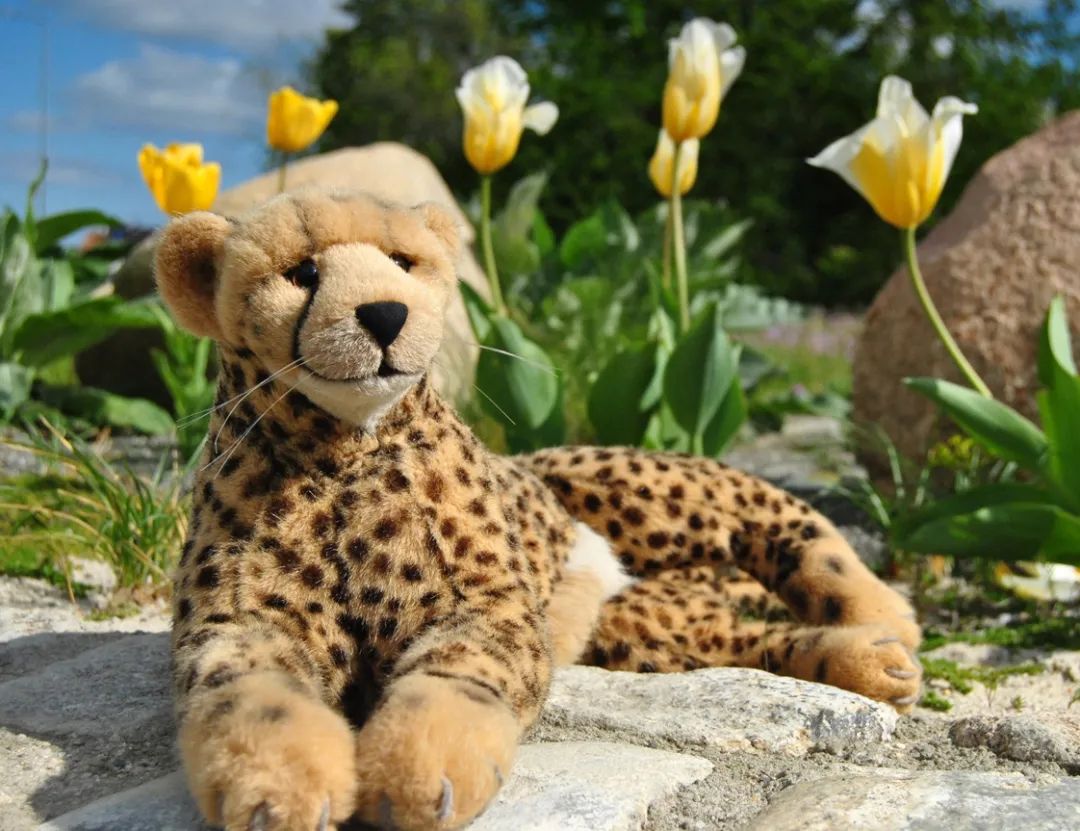 Ich liege in den Tulpen. Und was tut ihr bei dem schönen Wetter?🇬🇧I&#039;m lying in the tulips. And what do you do when the weather is that nice? #Tulips  #Stones  #Rocks  #HangingOut  #Tulpen  #Steine  #Abhaengen  #JubaOnTour  #PlushiesOfInstagram  #PlushiesOfGermany  #Plushie  #Kuscheltier  #plushies  #plushiecommunity  #instaplushies  #stuffies  #stuffiesofinstagram  #plushielife  #plushieadventures  #Koesen  #KoesenerSpielzeug