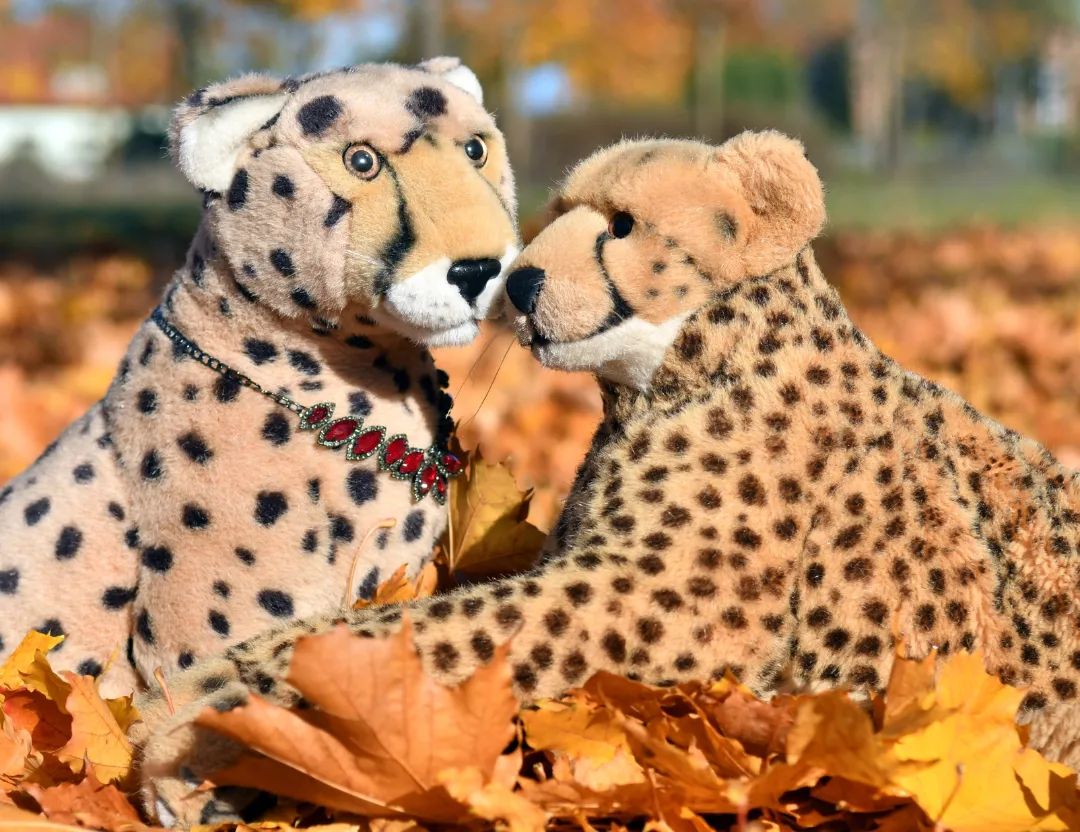 Just a normal  #CuddlyPlushieSaturday with me and my Niara. 😘🥰 #CuddlyPlushieSaturday  #Cuddles  #Smooching  #Kisses  #Autumn  #Leaves  #AutumnSpecial  #GoldenOctober  #JubasHerbstSpecial  #Herbst  #Laub  #BunteBlaetter  #HerbstSpecial  #GoldenerOktober  #JubaOnTour  #PlushiesOfInstagram  #Plushie  #Kuscheltier  #plushies  #plushiecommunity  #instaplushies  #theinstaplushies  #stuffies  #plushielife  #plushieadventures  #Koesen  #KoesenerSpielzeug