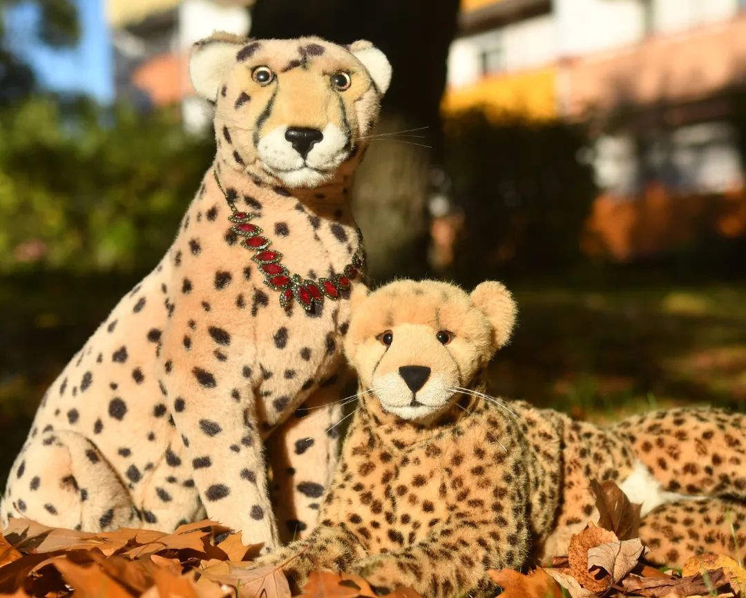 Mein Baby gehört zu mir, ist das klar? #Autumn  #Leaves  #AutumnSpecial  #GoldenOctober  #JubasHerbstSpecial  #Herbst  #Laub  #BunteBlaetter  #HerbstSpecial  #GoldenerOktober  #JubaOnTour  #PlushiesOfInstagram  #Plushie  #Kuscheltier  #plushies  #plushiecommunity  #instaplushies  #theinstaplushies  #stuffies  #plushielife  #plushieadventures  #Koesen  #KoesenerSpielzeug