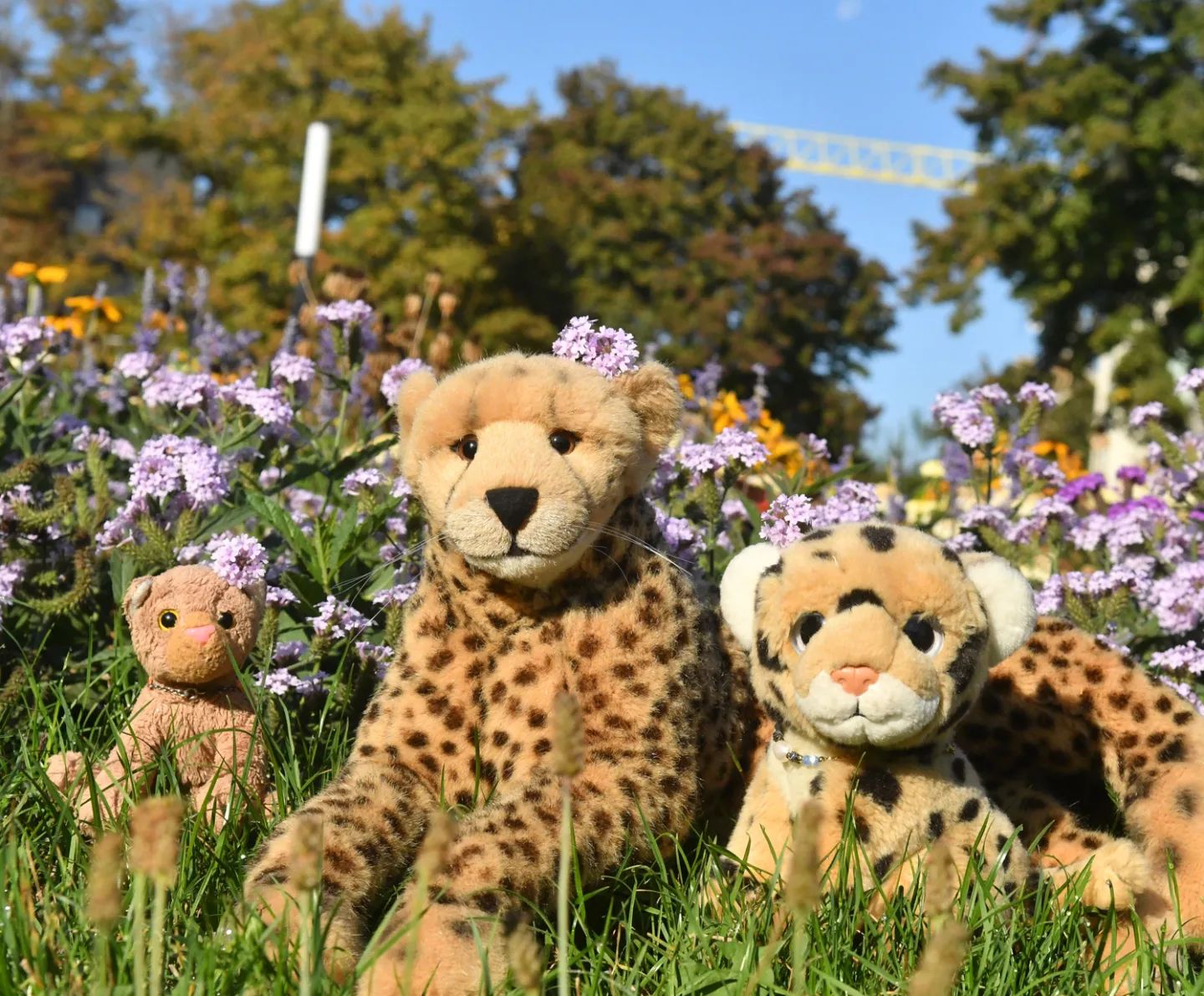 Nun, sollen sie doch ohne uns feiern. Nichts ist schöner als mit den Kleinen im Gras zu sitzen zwischen Blumen und Sträuchern.🇬🇧Well, let them celebrate without us! There is nothing nicer than sitting in the grass with my cubbies among flowers and bushe