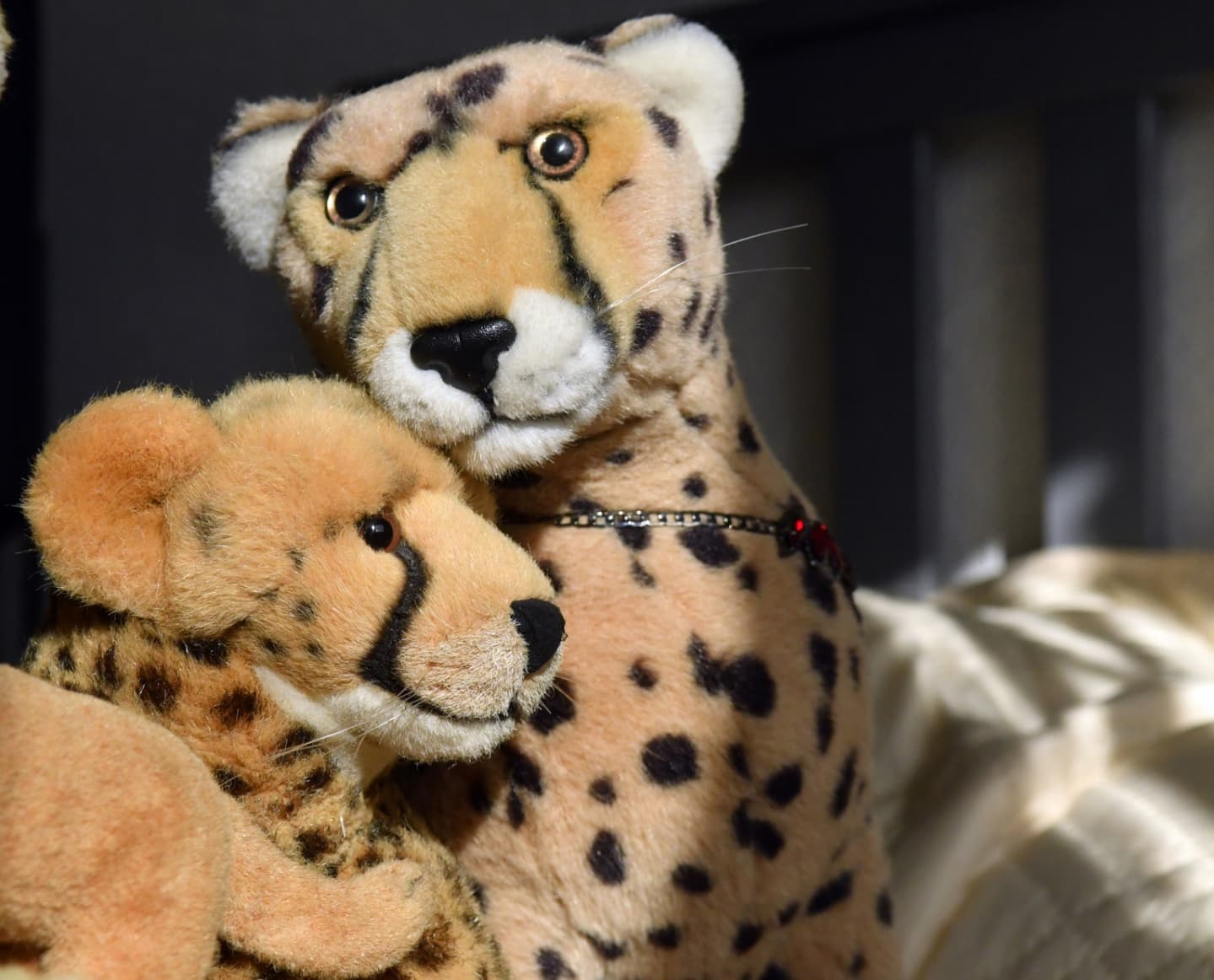 Long time no see, my friends. It’s time for some cuddles, ain’t it?Happy  #PlushieCuddlySaturday everyone, and thank you, julie_the_davies and Rosie and Tippidy and Jeremy and Spooky and Derek and Bernard, for hosting. #Cheetah  #Lion  #JubaOnTour  #PlushiesOfInstagram  #PlushiesOfGermany  #Plushie  #Kuscheltier  #plushies  #plushiecommunity  #instaplushies  #stuffies  #stuffiesofinstagram  #plushielife  #plushieadventures  #Koesen  #KoesenerSpielzeug