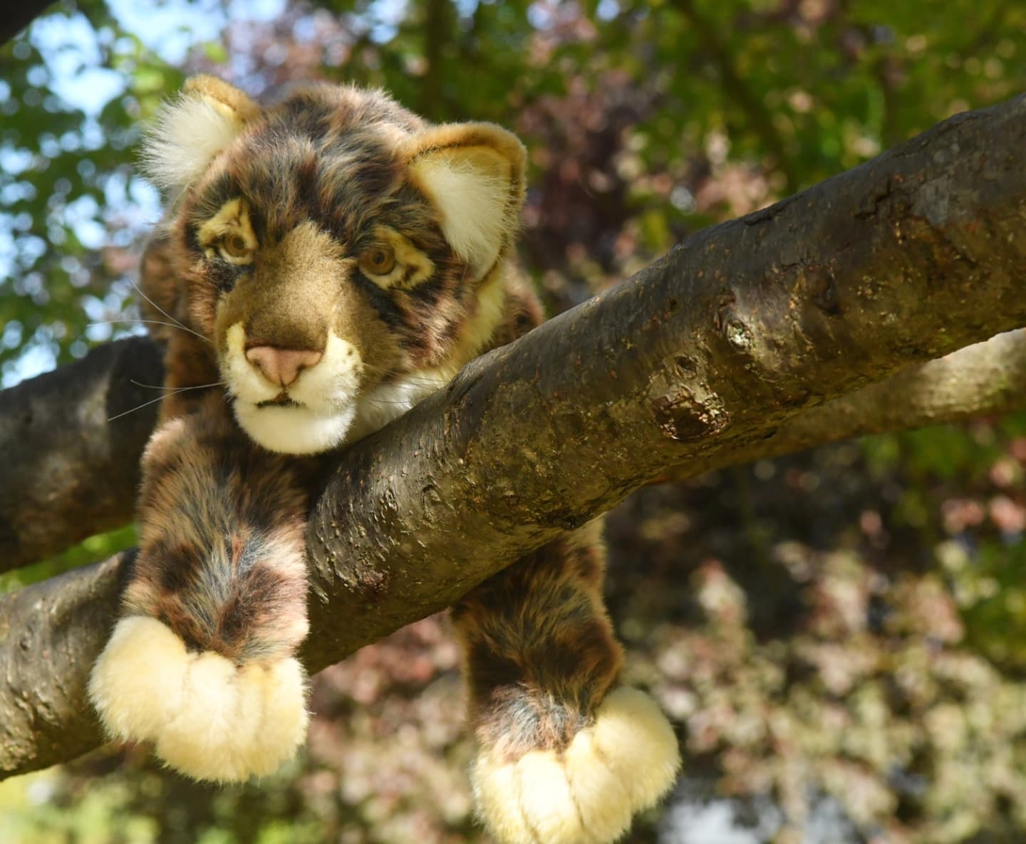 🐆 Habt ihr mich nicht gehört? Ihr sollt auf der Stelle herunterkommen, oder sonst...🙈 Nö, uns gefällt es hier oben.🙉 Jap, wir haben es sehr gemütlich hier oben.🙊 Isso.🐆 Ich sagte, ihr sollt herunterkommen – wir müssen nach Hause!🙈 Nö.🐆 Ich werde fuchsteufelswild, wenn ihr nicht gleich...🙈 O weh, das klingt gefährlich.🙉 Bevor wir uns endgültig festlegen, wie wild wird denn so ein Fuchsteufel?🐆 Runter! Jetzt! Oder ich werde es euch zeigen!🙈 O, wenn das so ist, bleiben wir besser oben.🙉 Genau, das ist sicher sicherer.🙊 Isso.🐆 ...🇬🇧🐆 Didn’t you hear me? You shall come down now!🙈 No, we like it up here.🙉 Yep, we’re very comfortable up here.🙊 Right!🐆 I said you should come down - we have to go home. Now!🙈 Nope.🐆 I’ll get hopping mad if you don’t...🙈 Oh dear, that sounds dangerous.🙉 Before we make a final decission, how mad will such a hopping get?🐆 Down! Now! Otherwise I’ll show you!🙈 Oh, in that case, we’d better stay up here.🙉 Exactly, that’s safer for sure.🙊 Right.🐆 ... #Cheetah  #Leopards  #Ausflug  #Trip  #JubaOnTour  #PlushiesOfInstagram  #PlushiesOfGermany  #Plushie  #Kuscheltier  #plushies  #plushiecommunity  #instaplushies  #stuffies  #stuffiesofinstagram  #plushielife  #plushieadventures  #Koesen  #KoesenerSpielzeug  #Hansa  #Steiff