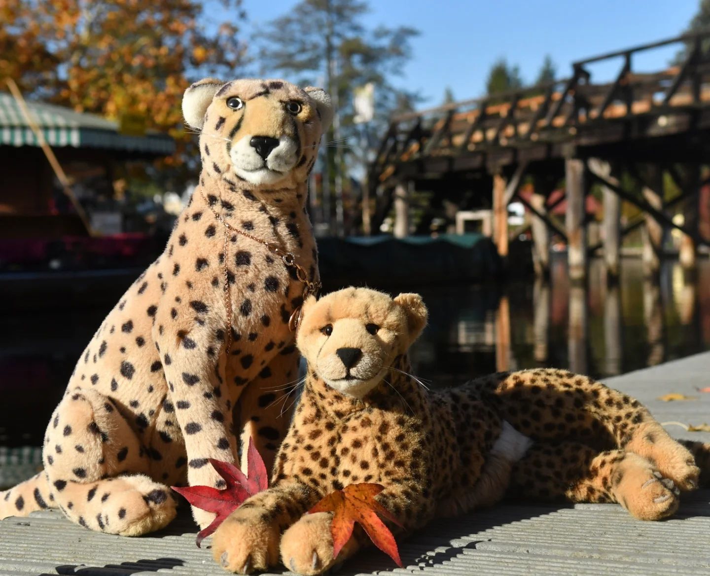 Heute waren meine Swede, meine Mneka, meine Niara und ich am Hafen und im angrenzenden Schlosspark. Normalerweise meiden wir solche Plätze, erst recht bei schönem Wetter, da man sich die Lokationen allzu oft mit tausenden Menschen teilen muss und selten ungestört ist. Doch heute war uns das egal, schließlich können wir nicht immer kampflos nachgeben. Natürlich ließ sich kaum ein Bild machen, ohne von neugierigen Hafenbesuchern nach dem Sinn unseres Treibens befragt zu werden – das gehört zum Leben eines Plüschies, das sich gern draußen herumtreibt. Ihr kennt das sicherlich.Trotzdem kamen eine Pfotevoll an ungestörten Bildern heraus. Den Anfang macht ein Bild mit meiner Niara vor einer der ikonischen Brücken.🇬🇧Today me and my Swede, my Mneka and my Niara were at the harbor and the nearby castle park. Usually we avoid such places, especially when the weather is nice, as we often have to share the location with thousands of people, beeing rarely undisturbed. But today we didn’t care, after all, we can’t always give in without a fight. Of course, we could hardly take a picture without being asked by curious visitors about the higher meaning of our activities - that’s part of the outdoor plushie life. You’re probably familiar with that.Nevertheless, we got a pawful of undisturbed pictures. We start with a picture showing me and my lovely Niara in front of one of the iconic bridges. #Hafen  #Kahnhafen  #Spreewald  #Herbst  #AutumnIsComing  #Autumn  #AutumnColours  #JubaOnTour  #PlushiesOfInstagram  #plushiecommunity  #instaplushies  #stuffies  #stuffiesofinstagram  #plushielife  #plushieadventures  #Koesen  #KoesenerSpielzeug