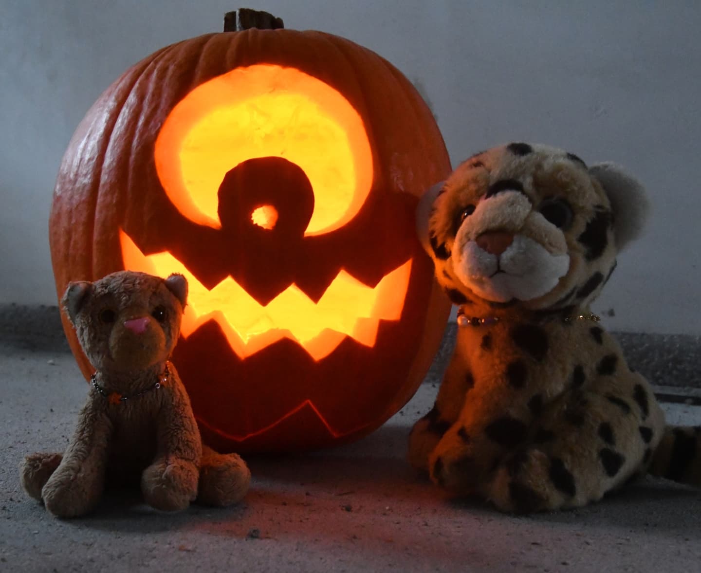 Halloween it is - Mneka and Swede tried to carve their very first pumpkin, while I was busy. And they did so well.  #HappyHalloween #Halloween  #Pumpkin  #Cyclops  #JubaOnTour  #PlushiesOfInstagram  #plushiecommunity  #instaplushies  #stuffies  #stuffiesofinstagram  #plushielife  #plushieadventures