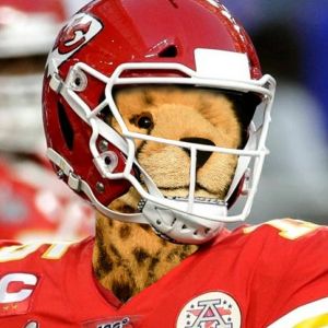 ChiefsKingdom