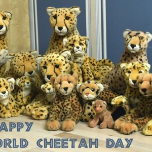 InternationalCheetahDay