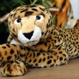 SteiffCheetah