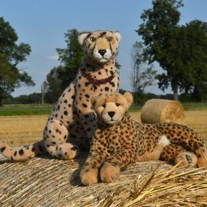 strawbales