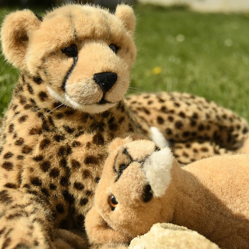 Photo shared by Juba Gepard on April 14, 2020 tagging @honeygrovebears.