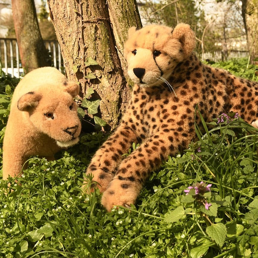 Photo by Juba Gepard on March 22, 2020.