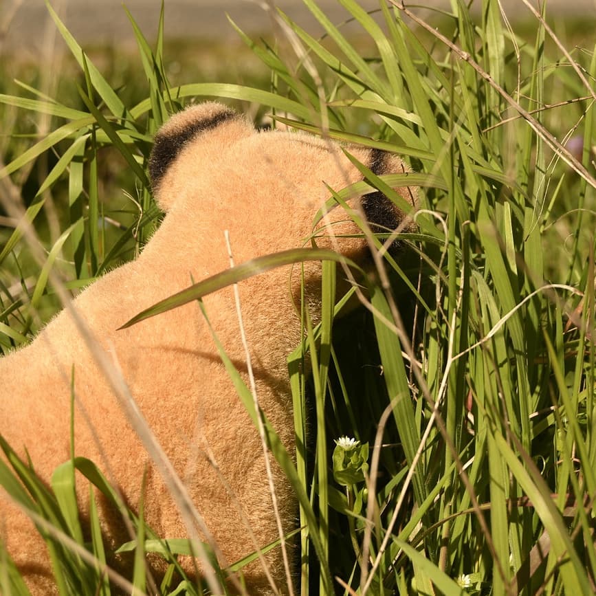 Photo by Juba Gepard on March 24, 2020.