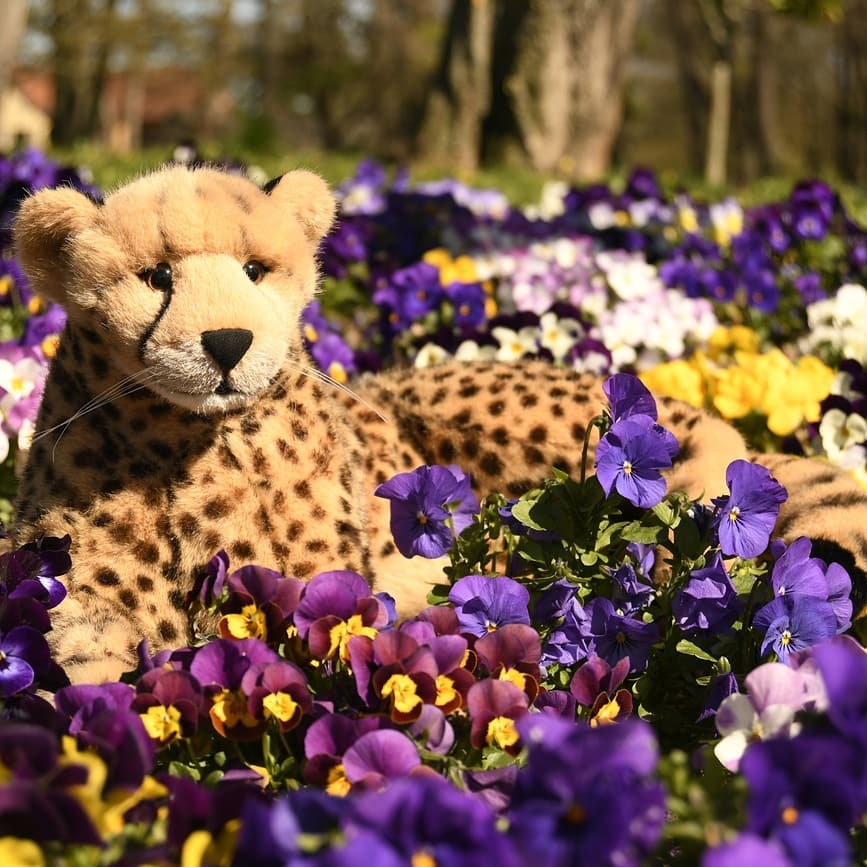 Photo by Juba Gepard on March 24, 2020.