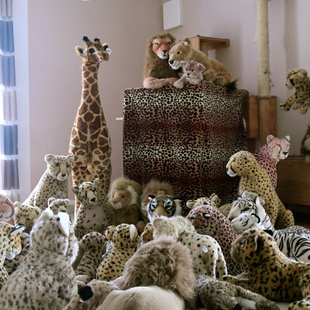 Photo by Juba Gepard on August 02, 2019.