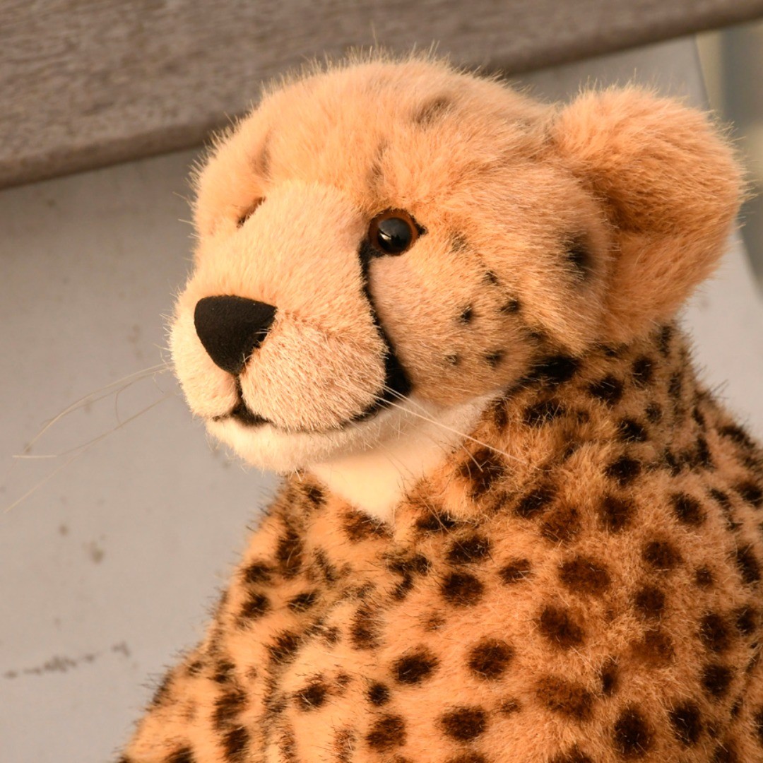Photo by Juba Gepard on September 13, 2019.