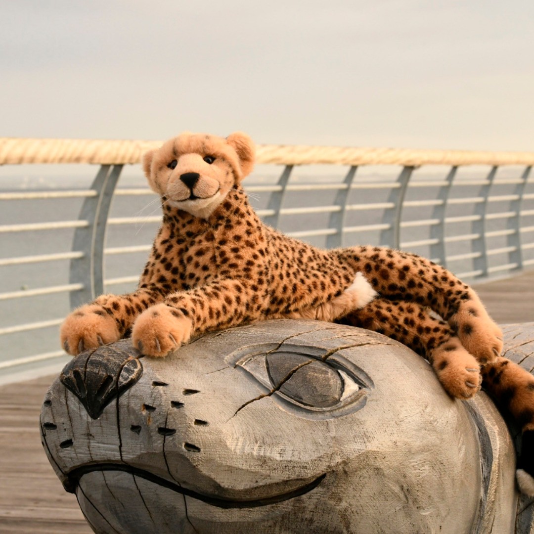 Photo by Juba Gepard on September 16, 2019.