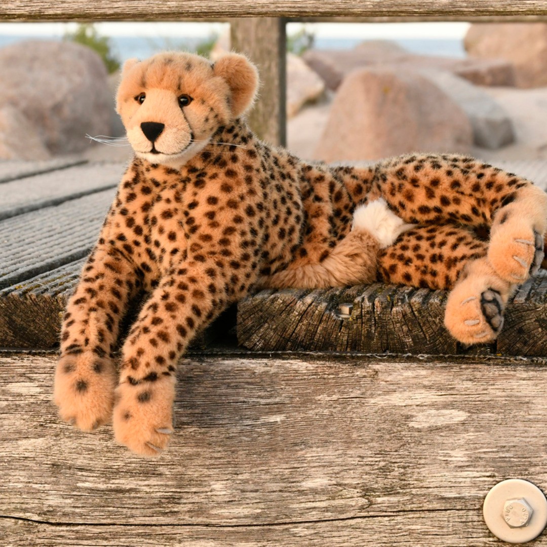 Photo by Juba Gepard on September 29, 2019.