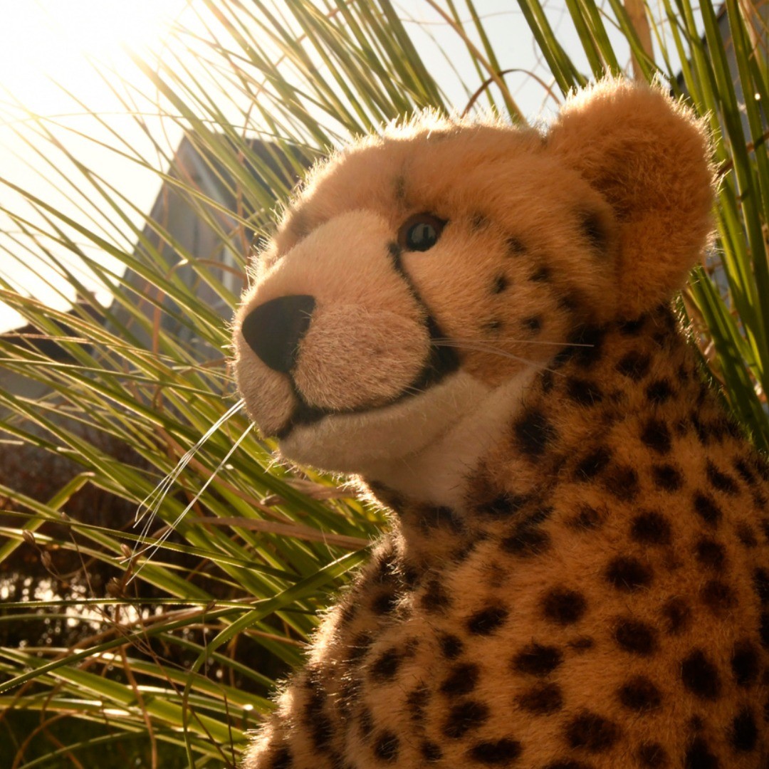 Photo by Juba Gepard on January 16, 2020.