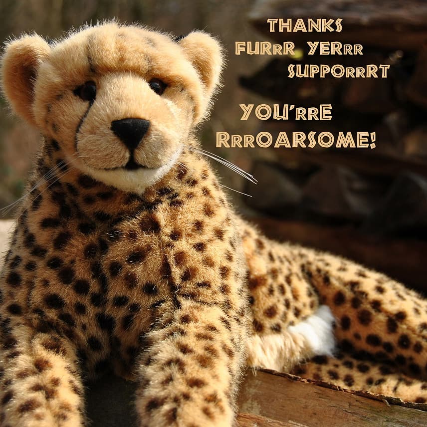 Photo shared by Juba Gepard on February 23, 2020 tagging @tiggerduck, @amorbigcats, @blackkiwii, @kiwi_missy_lucky_sissi, @lioness.cheryl, @koesenerspielzeug, @oliverwolfert, @mostly_plush, @lbsdpmlife, @maya_wolf_kinz, @heffafuzzel, @puffin_mcfluffypuff, @elton_the_lion, @patrick.piroth, @eddie_der_reisende, @elli.ellisabeth, and @thebigplushiefamily.