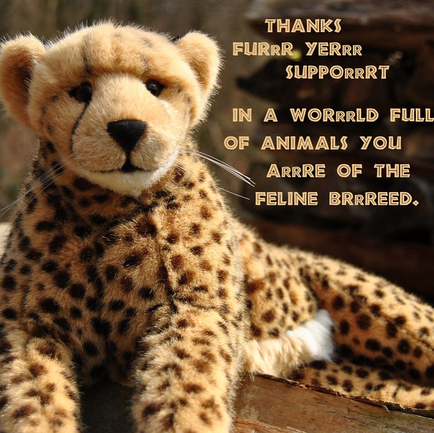 Photo shared by Juba Gepard on March 09, 2020 tagging @bleuhillbitz, @follow_simba, @_whitelightning_wolf_customs_, @mrs.hippo.shealy, @tytime129, @littletravellinglion, @tschuergen_on_tour, @leoncino_jo, @isiwjwkwmsnsksmdndk, @brave_bears_adventures, @prof_smudge, @cuddleandkeep, @travelz.with.ello, @mr.pepperstein, and @robbie.tobbie.tiggie.