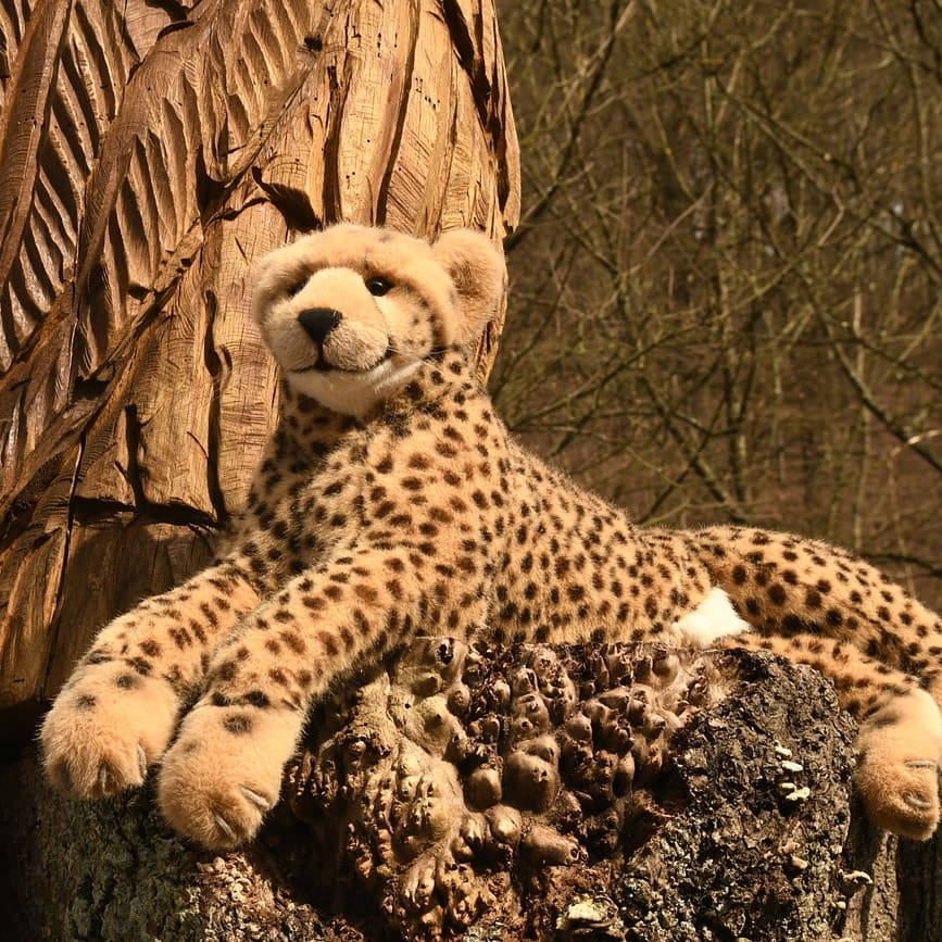 Photo by Juba Gepard on March 15, 2020.