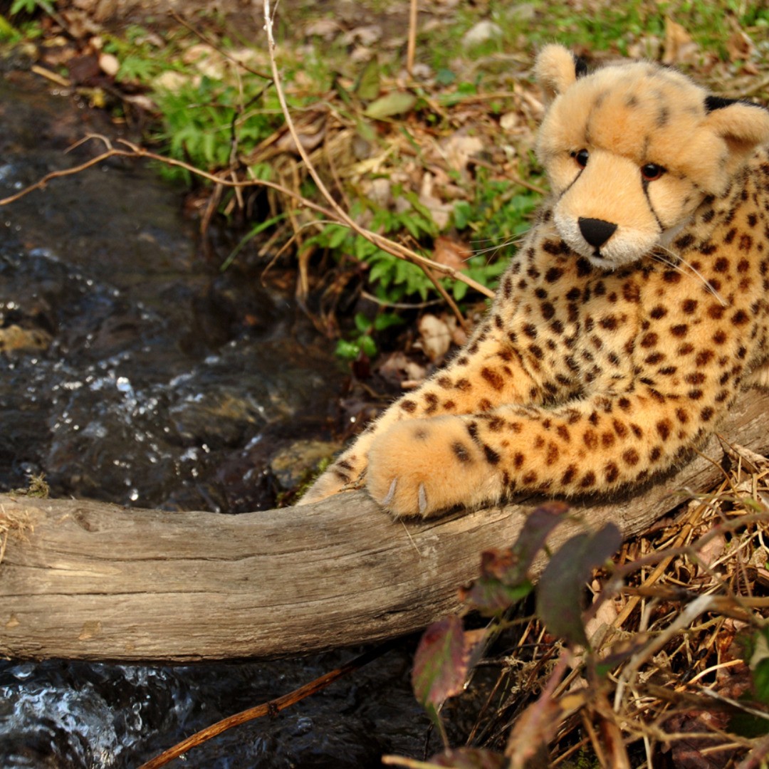 Photo by Juba Gepard on April 10, 2019.