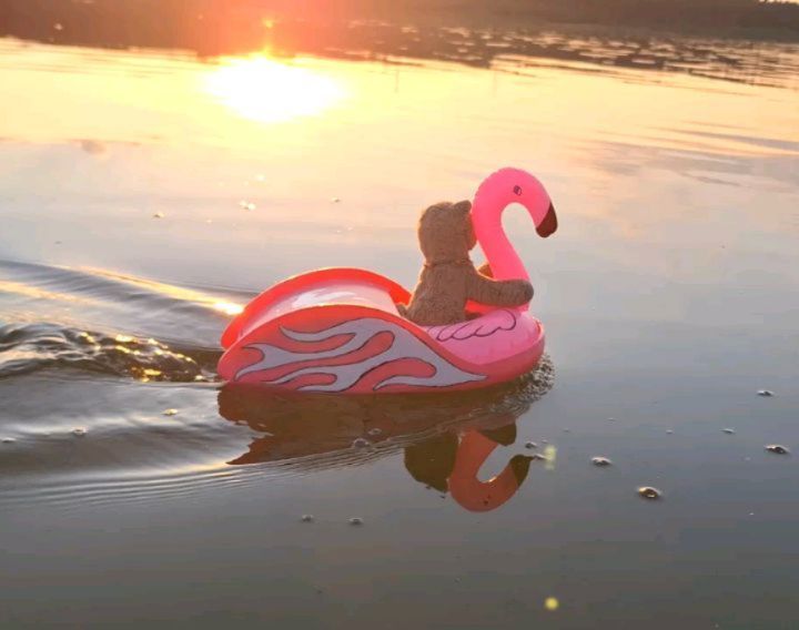 Erinnert ihr euch noch an Swedes ersten Entwurf eines ferngesteuerten Flamingos? Und wisst ihr noch, wie sie neulich die Bootshülle geschenkt bekam? Nun, es mussten weitere vier Wochen ins Land gehen, bis mein Mensch die Motoren eingebaut bekam, und weitere...