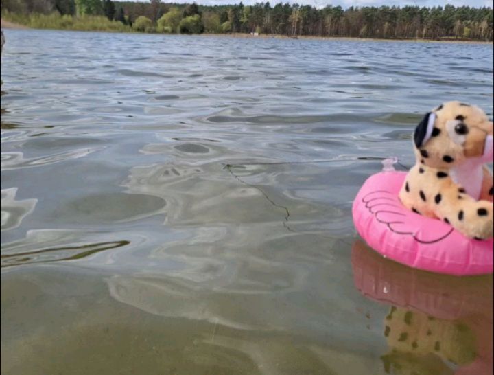 Hallo, hier ist eure Swede. Dad liegt gerade mit Mom im Sand, und deshalb ist es an mir, die Ereignisse des Tages festzuhalten. Wobei, es gibt gar nicht so viel zu sagen: Dad hat einen Pflock in den Boden des Sees gesteckt und unsere Flamingos – und den...