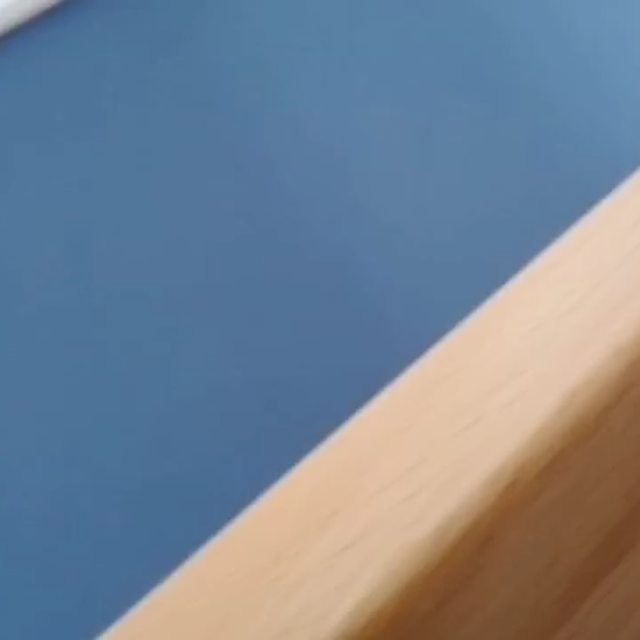 🐈 Wwwuuuuuuuuiii 🐆 Was treibst du denn da schon wieder? Ich habe dir doch gesagt, dass es gefährlich ist, auf dem Treppengeländer zu rutschen. Wenn du nach unten möchtest, nimm die Treppe gleich neben dem Geländer, verflucht noch eins. Warte doch...