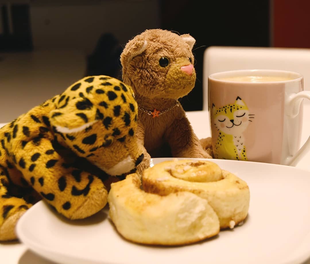 Photo shared by Juba Gepard on November 26, 2020 tagging @tiggerduck, and @kuchenfluegel.