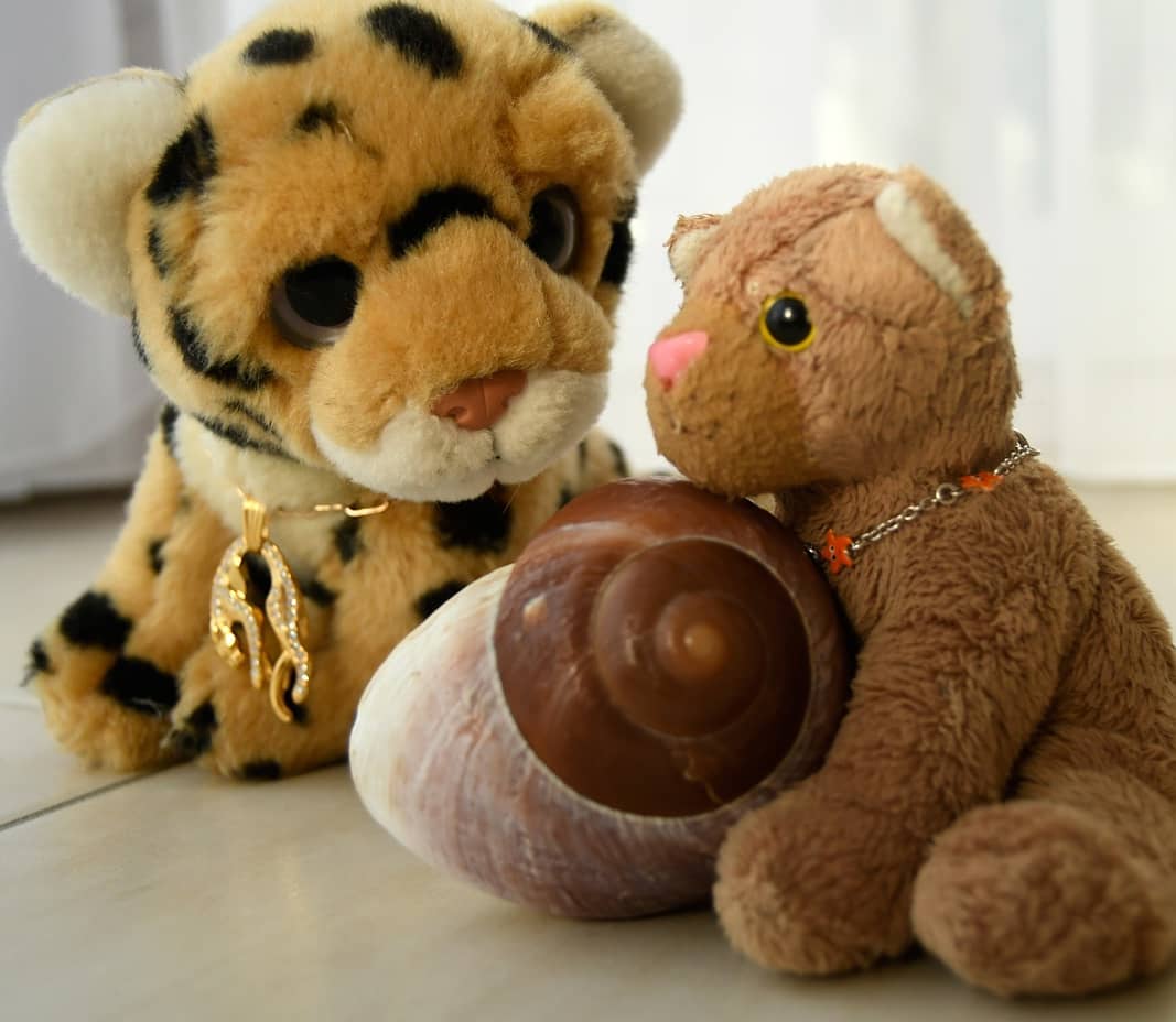 Photo by Juba Gepard on December 08, 2020.