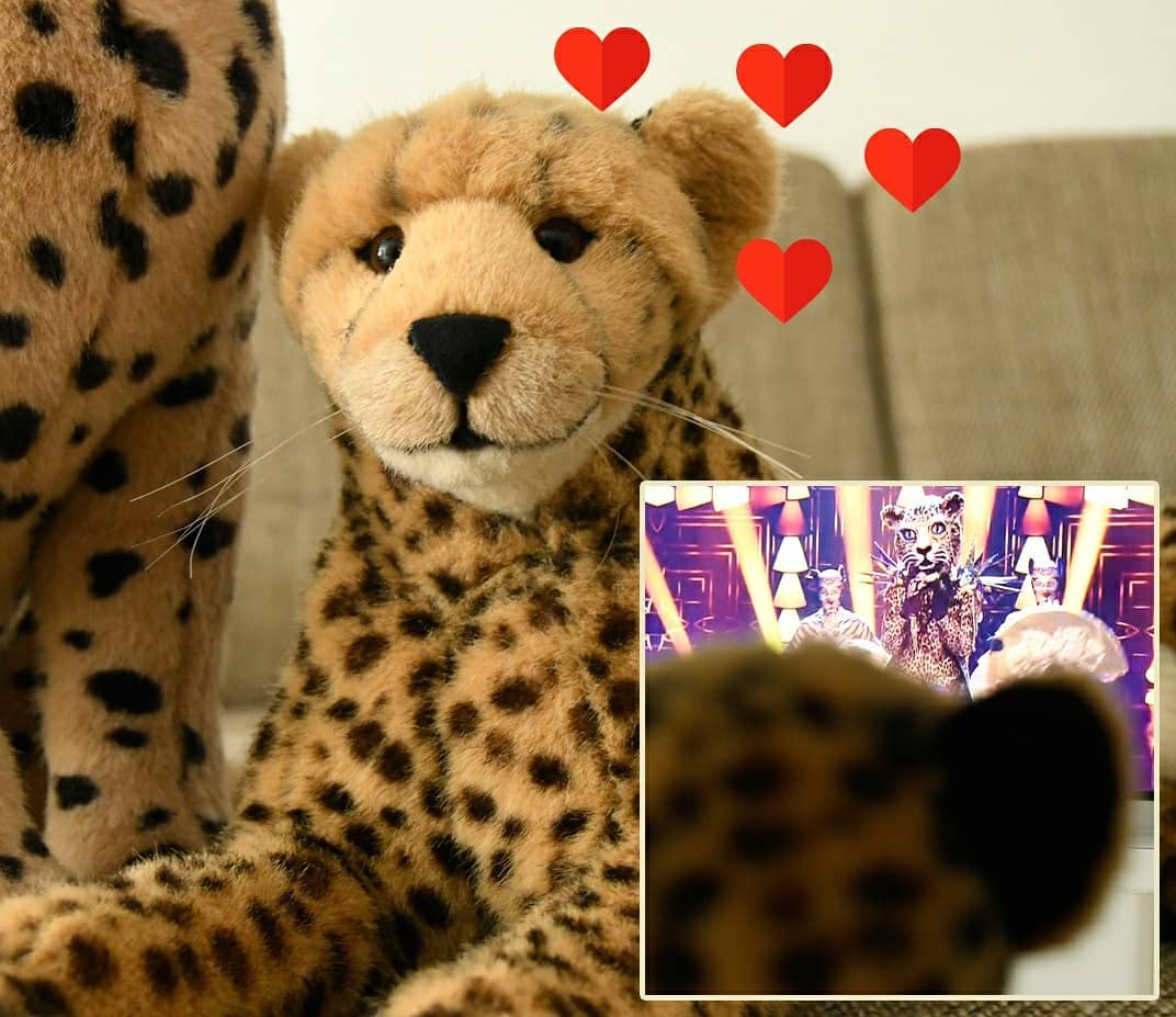 Photo shared by Juba Gepard on March 17, 2021 tagging @masked.singer.germany.