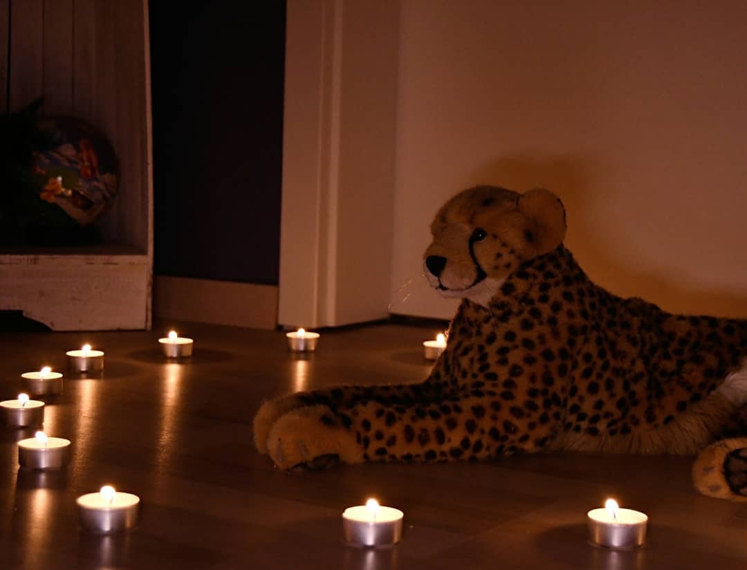 Photo by Juba Gepard on March 18, 2021.