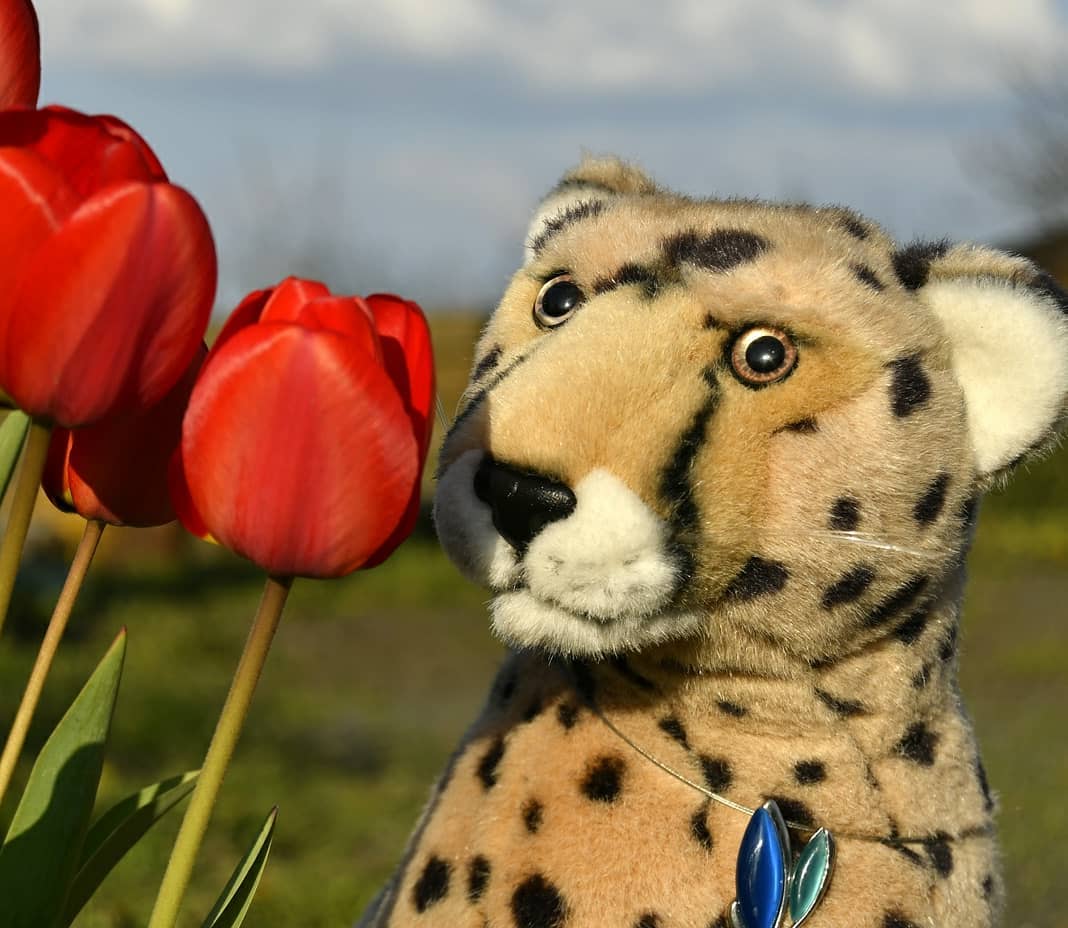 Photo by Juba Gepard on April 25, 2021.