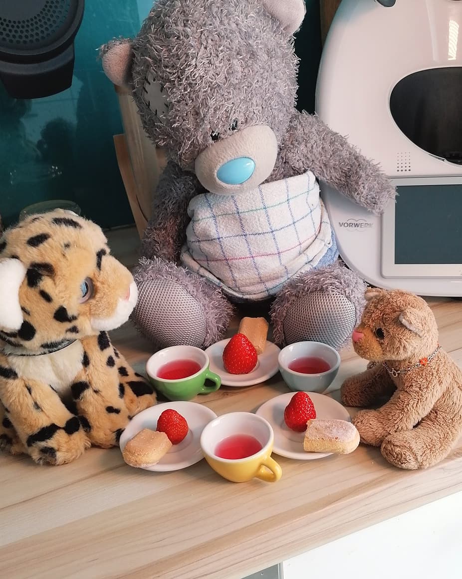 Photo shared by Juba Gepard on May 22, 2021 tagging @edward_the_foxwood_bear.