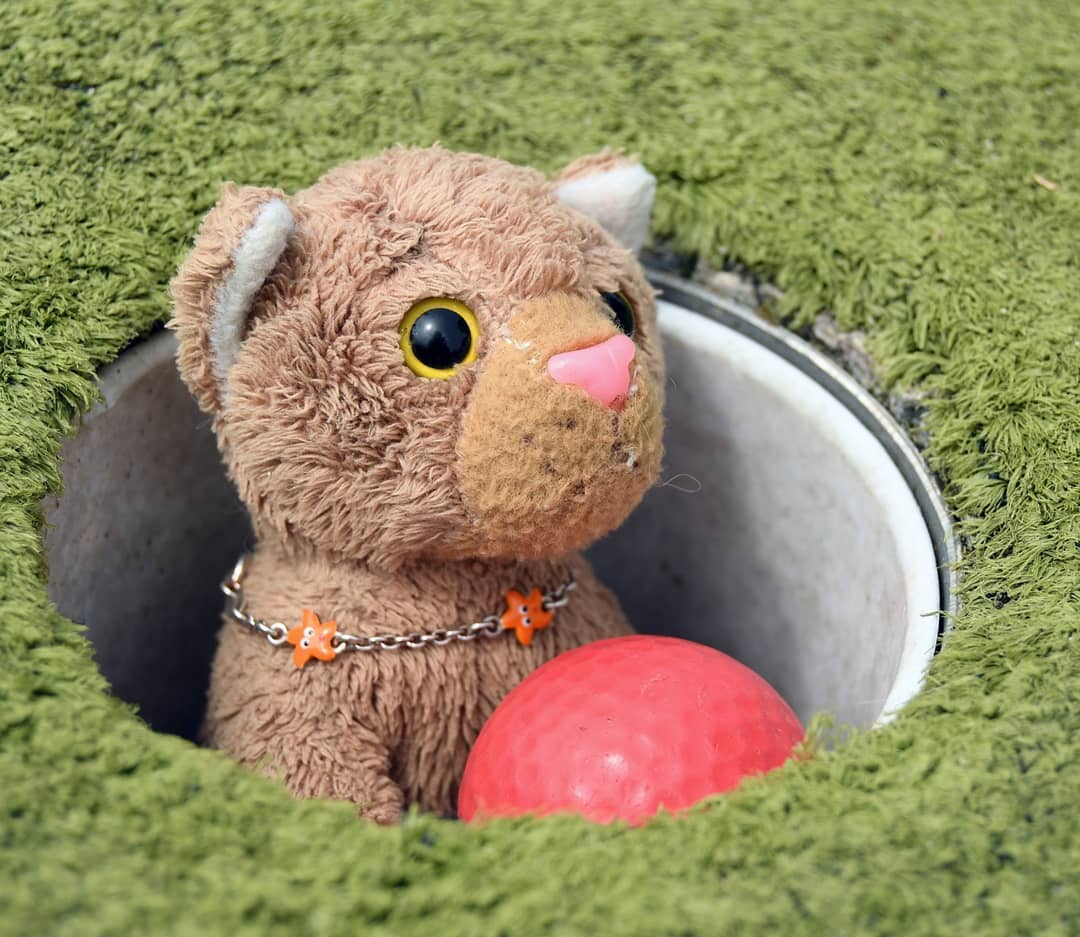 Photo shared by Juba Gepard on June 27, 2021 tagging @edward_the_foxwood_bear.
