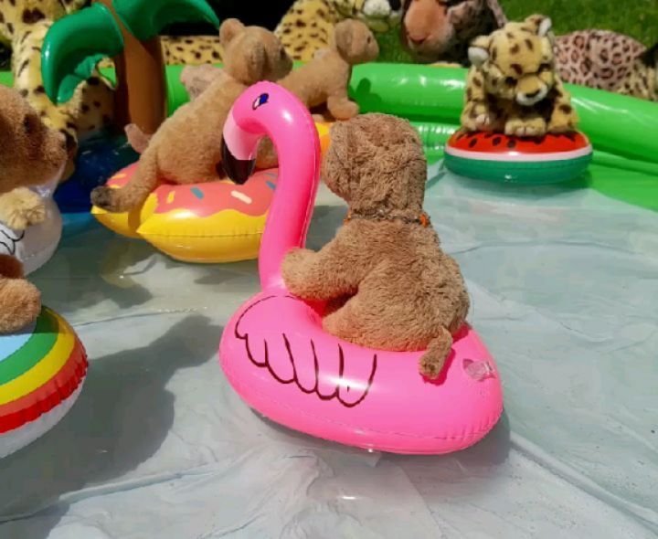 Summer is coming – Teil 3  Seht ihr’s, welchen Spaß die Kinder hatten? Sie mussten gar nicht viel machen – sie mussten sich bloß festhalten und ganz dem Wind hingeben, der ihre kleinen Boote anstieß, anprallen ließ, kreiseln ließ, herumtreiben ließ...